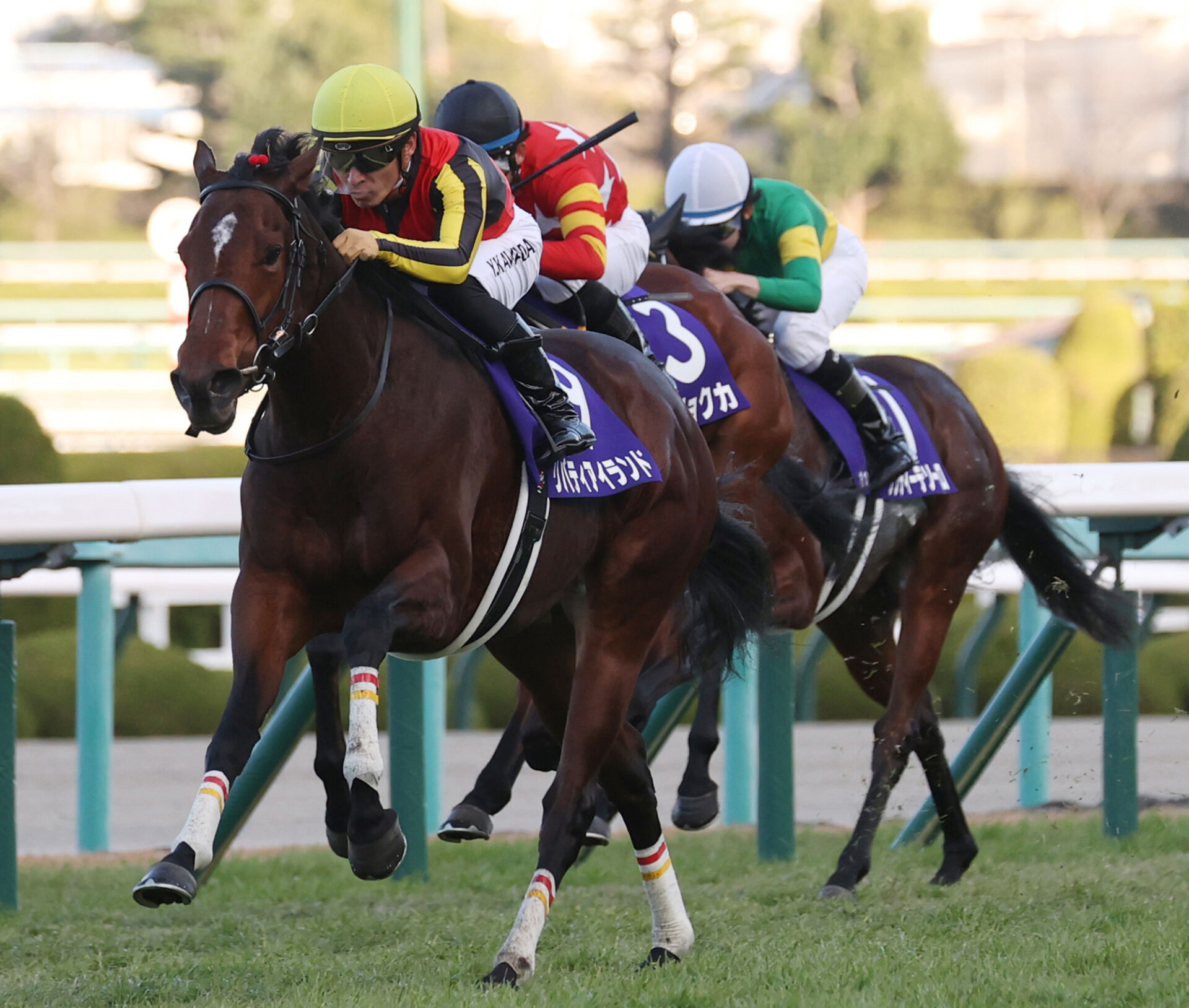 競馬.リバティアイランド.パネル.競馬ブック.桜花賞