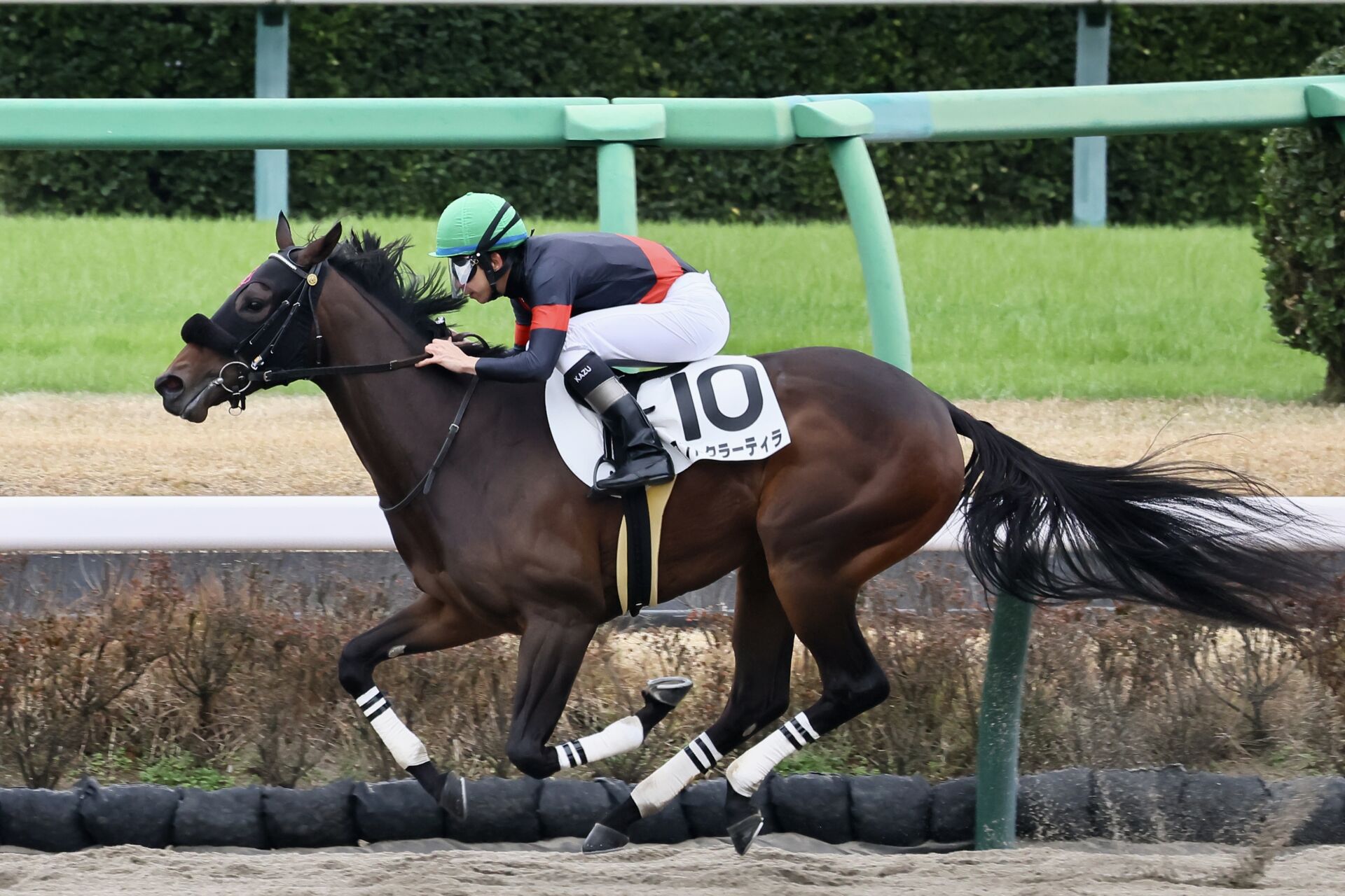 新馬/中山6R】ロードカナロア産駒 アフトクラーティラがデビューV