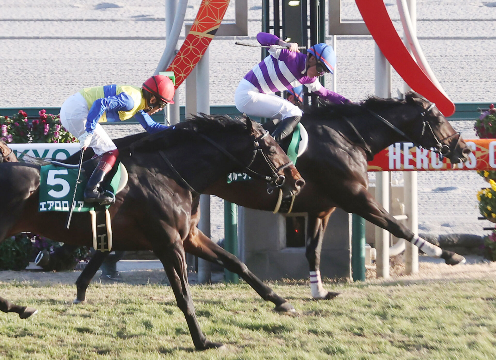 競馬 EPOCH HORSERACING 2023 イルーシヴパンサー 岩田望来 京都金杯】岩田望騎乗、イルーシヴパンサーが重賞2勝目 | 競馬ニュース