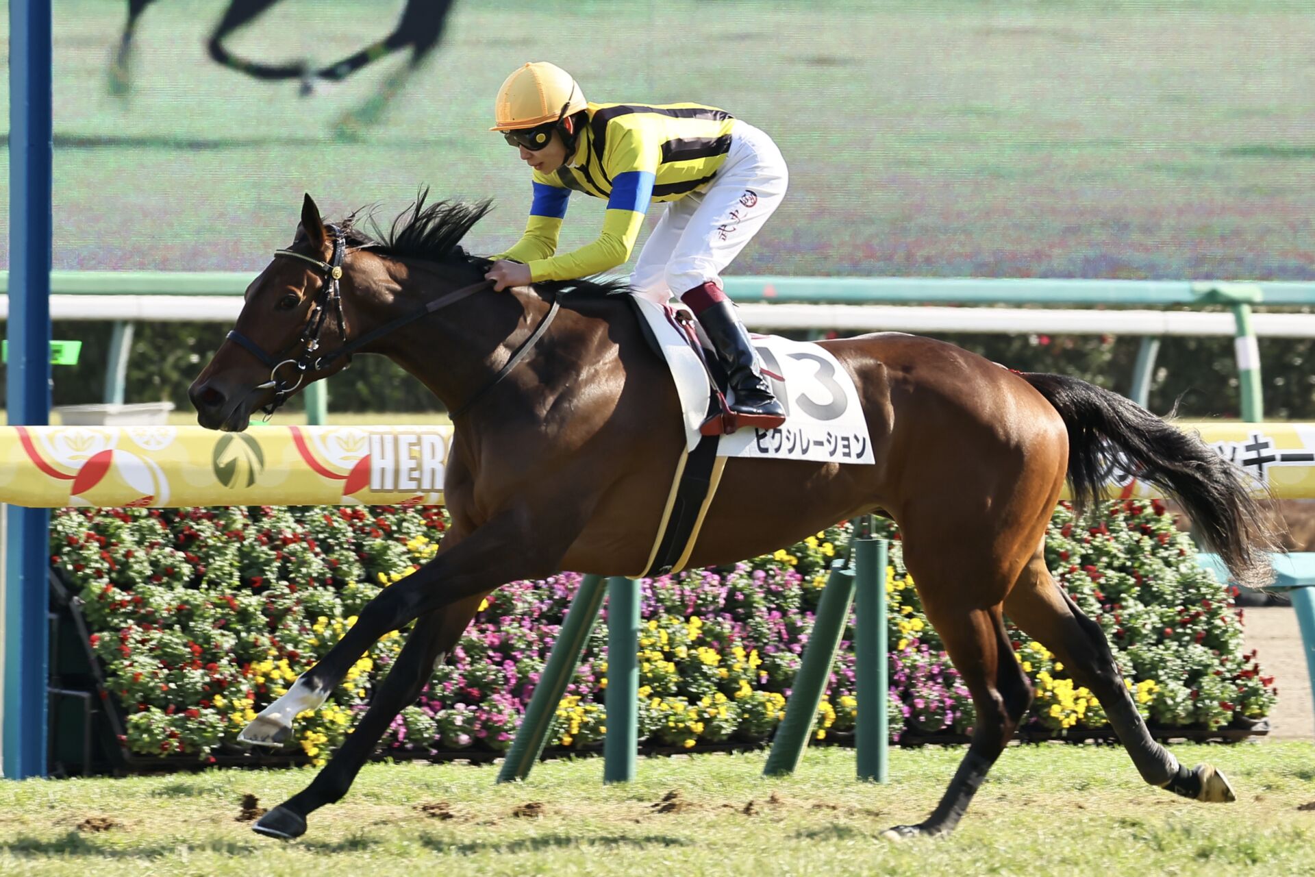 e210478d7474ec2b4480ef7ee1d340