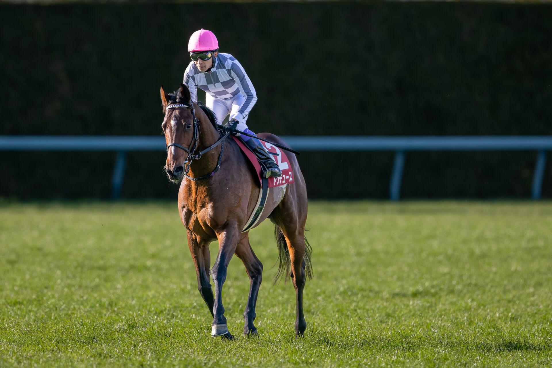【武豊日記】夢が大きく広がりました 競馬ニュースなら競馬のおはなし