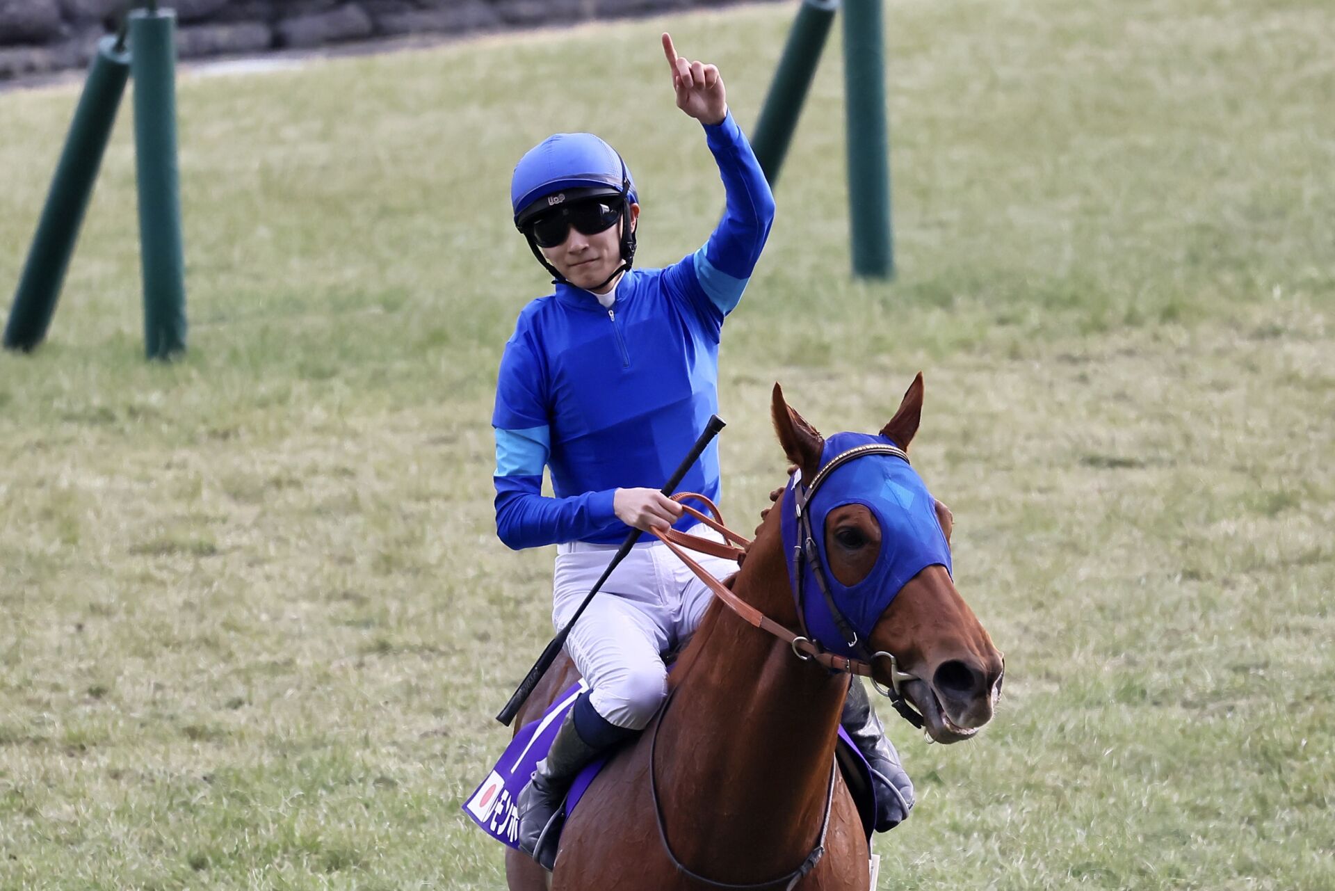 【フェブラリーS】レモンポップがG1初制覇 | 競馬ニュースなら競馬のおはなし