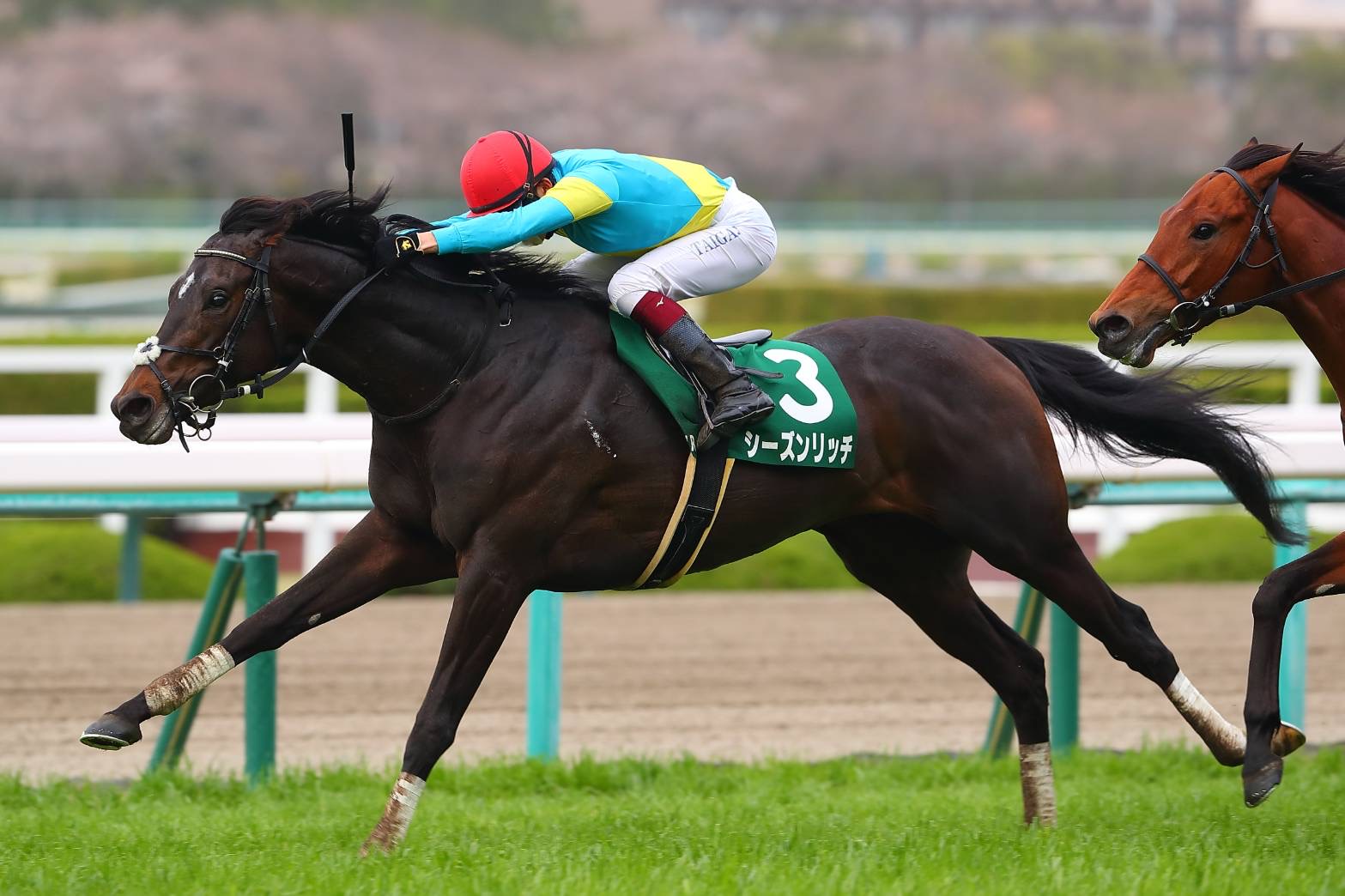毎日杯】シーズンリッチが大混戦を制する…人馬ともに重賞初制覇 | 競馬 