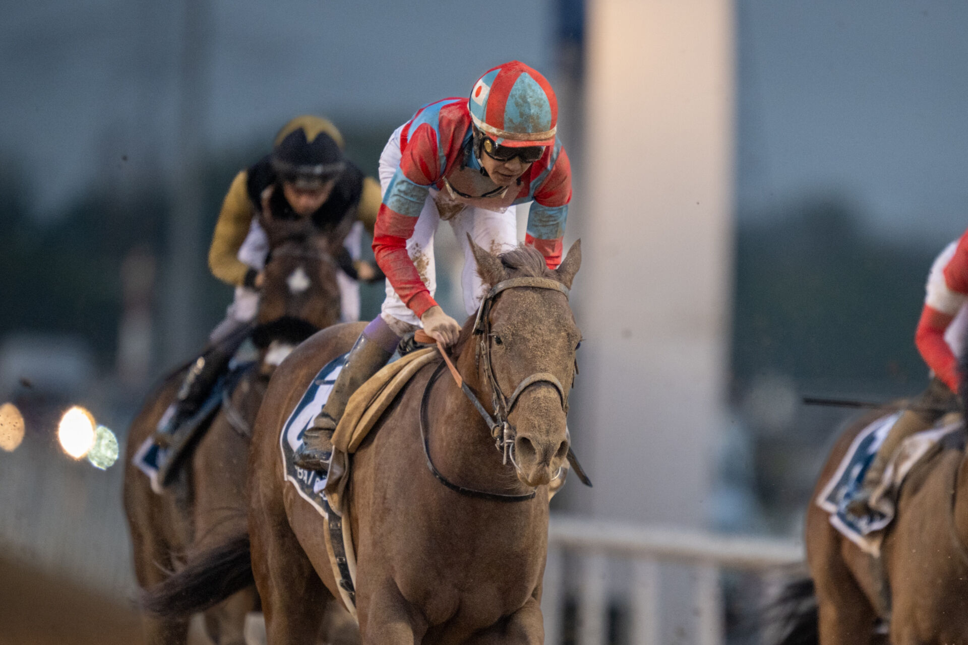 プロキオンS登録馬】タガノビューティー、リメイクなど18頭 | 競馬