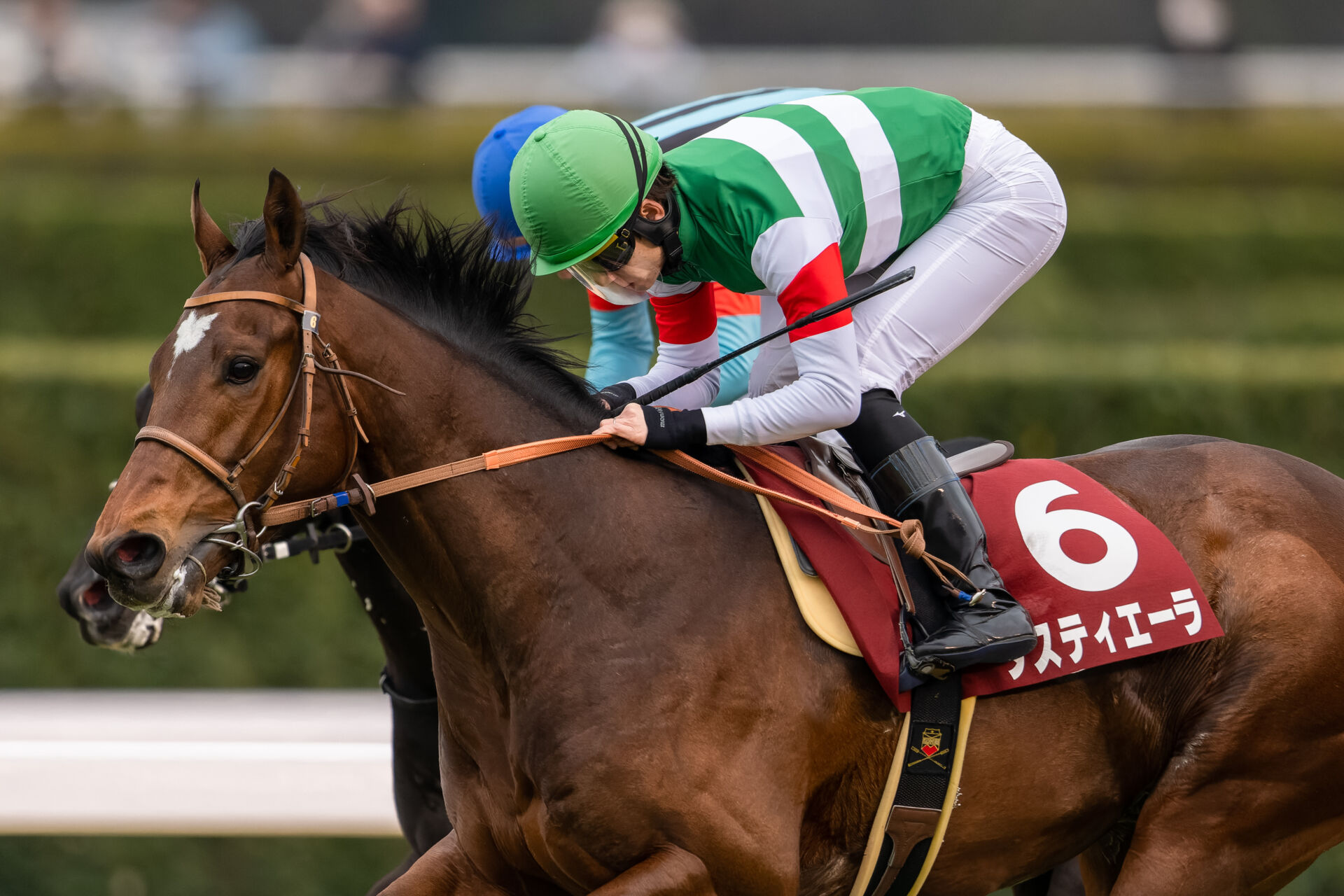 菊花賞登録馬】ダービー馬、タスティエーラなど17頭 | 競馬ニュース 