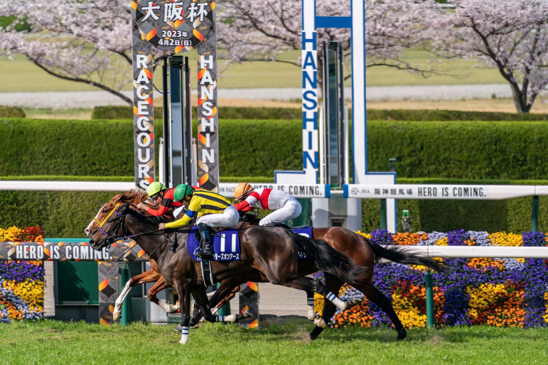 【競馬のおはなし写真館】4月のおはなし賞 競馬ニュースなら競馬のおはなし