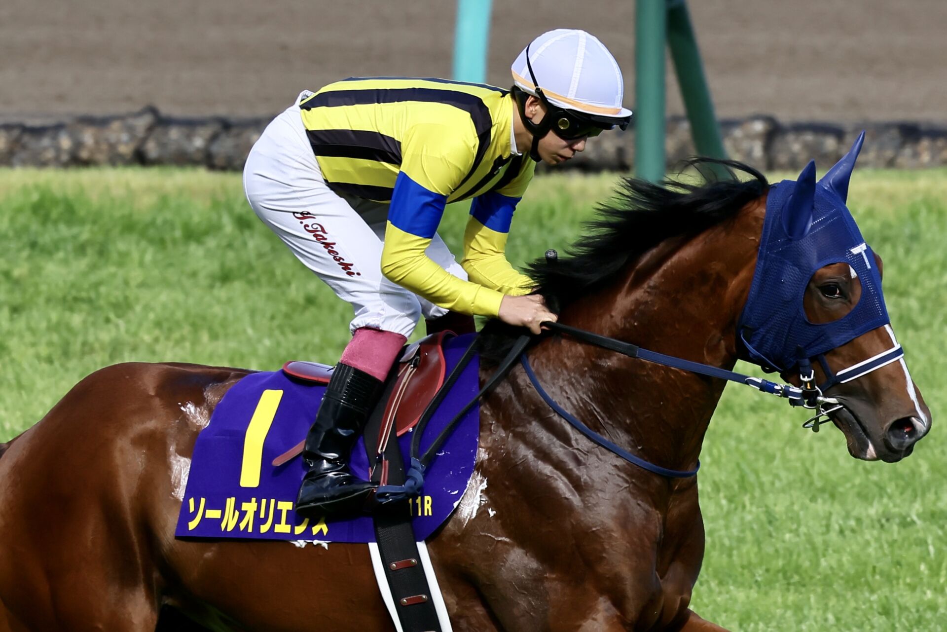 サラブレ 中央競馬年鑑2003〜2018 サラブレ 中央競馬年鑑2003〜2018 サラブレ 中央競馬年鑑2003