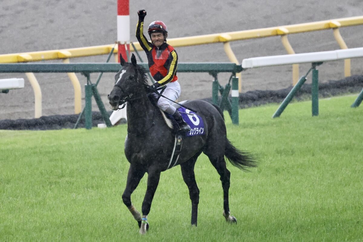 ヴィクトリアマイル】戸崎「馬を信じて内を選択」ソングラインが接戦を制する | 競馬ニュースなら競馬のおはなし