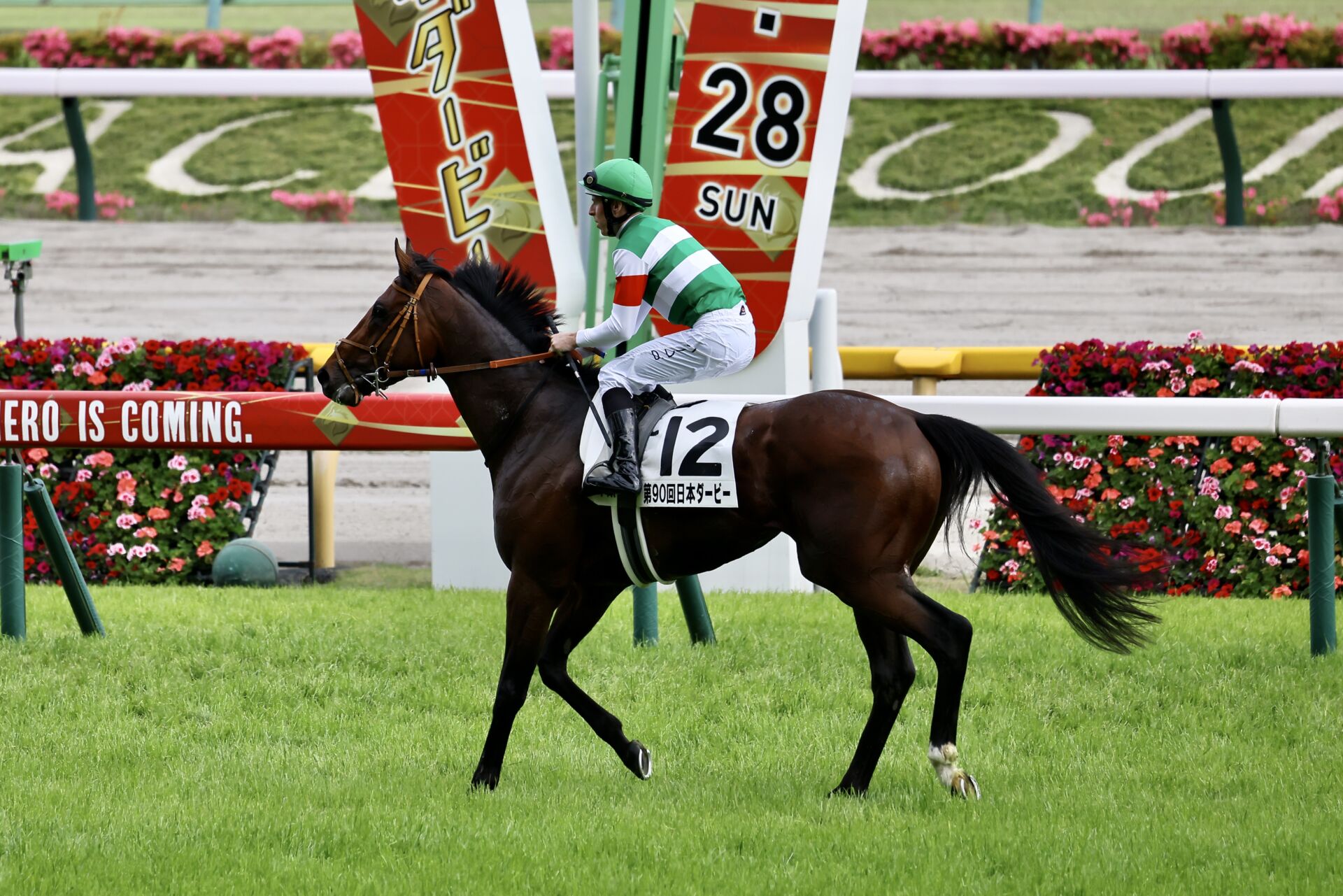 競馬　ポスター　タスティエーラ　大特価 競馬 ポスター タスティエーラ 大特価 競馬 ポスター