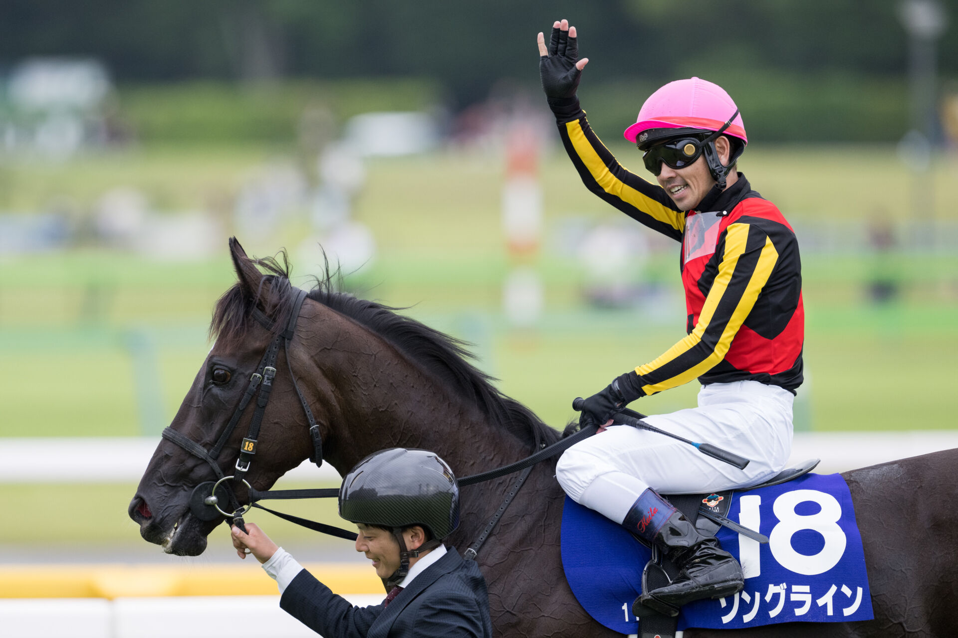 ソングラインが競走馬登録抹消 | 競馬ニュースなら競馬のおはなし