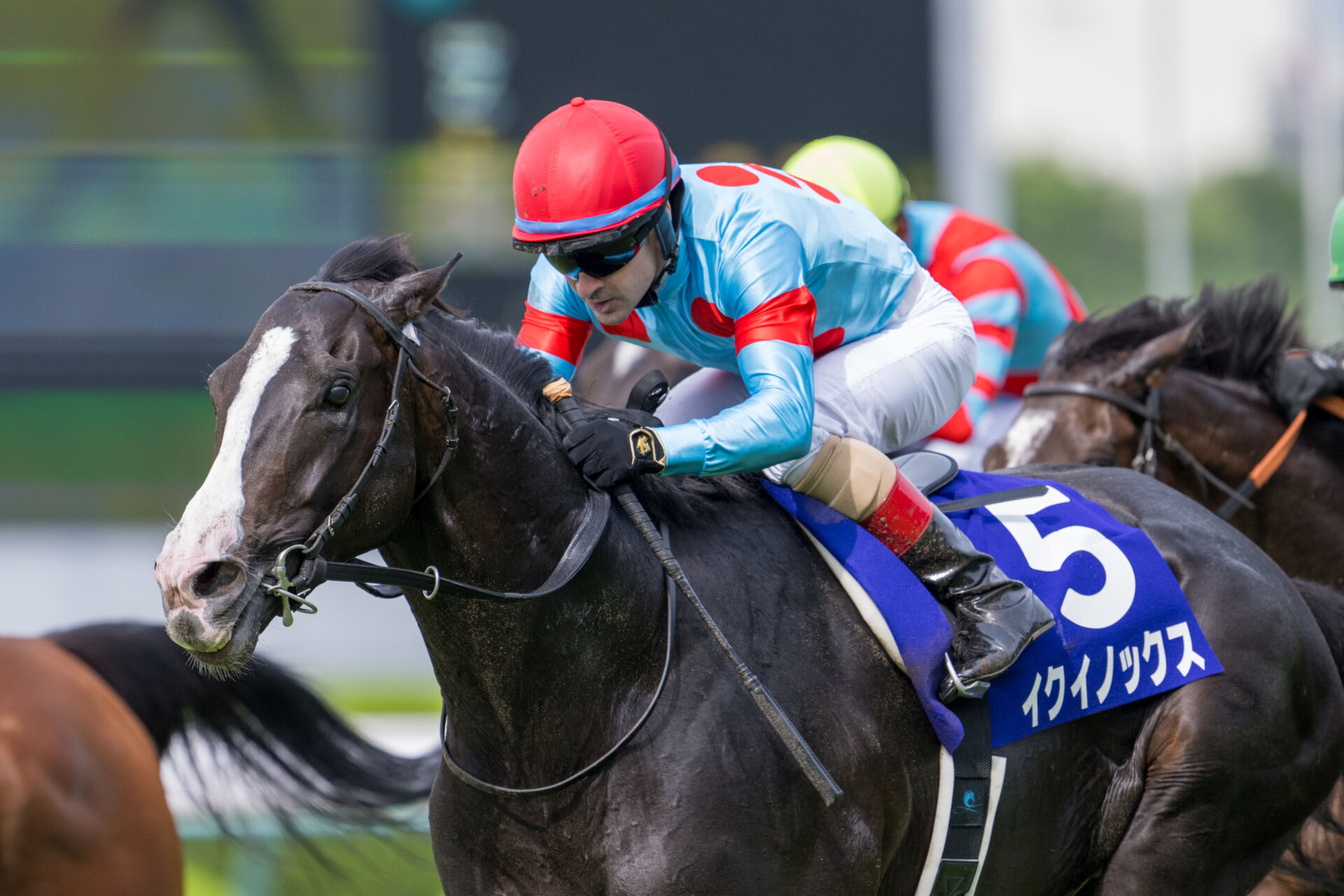 天皇賞・秋】イクイノックスは6枠7番へ | 競馬ニュースなら競馬のおはなし