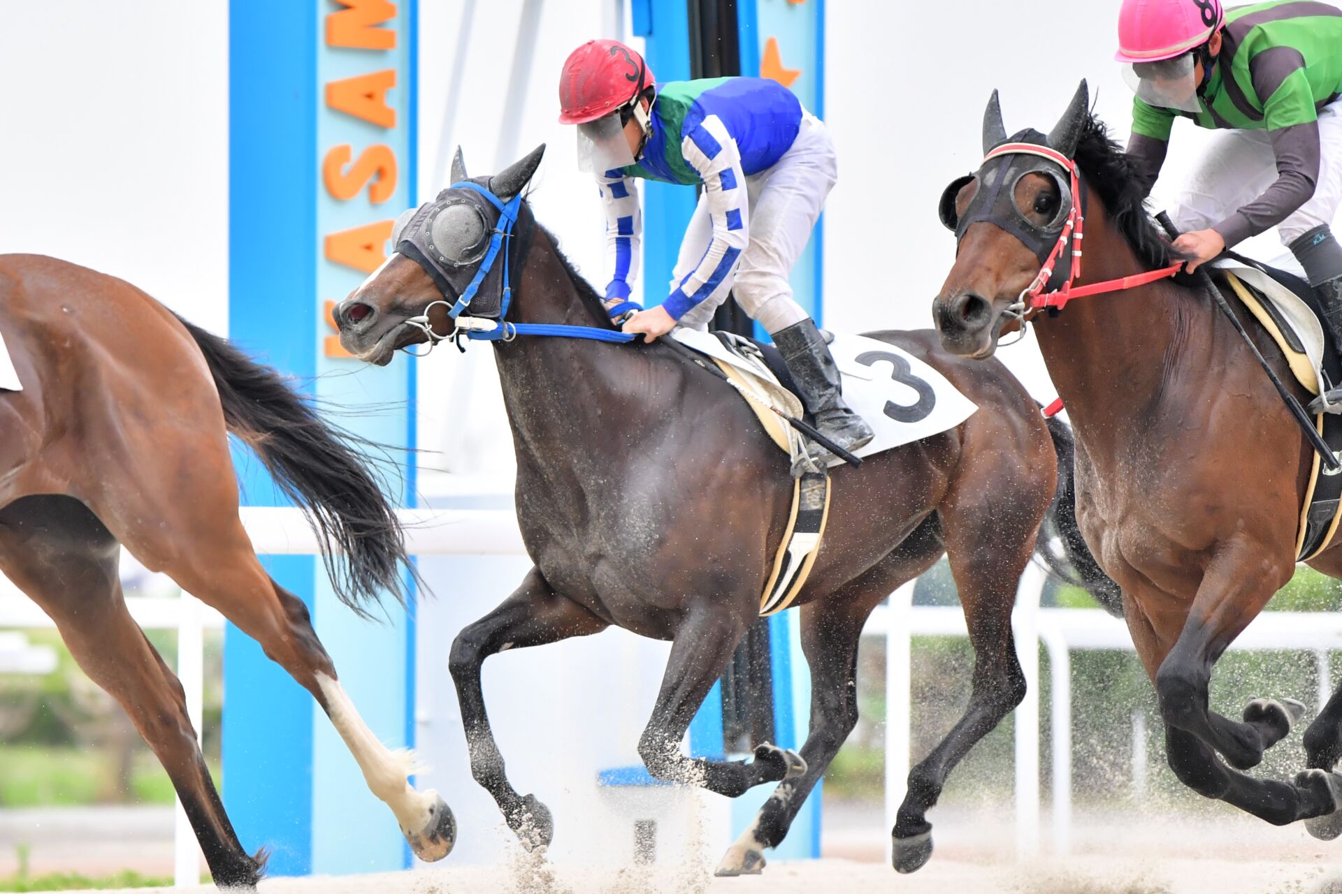 笠松4R】ジャンポケ斉藤所有、オマタセシマシタは休養明け2戦目で6着
