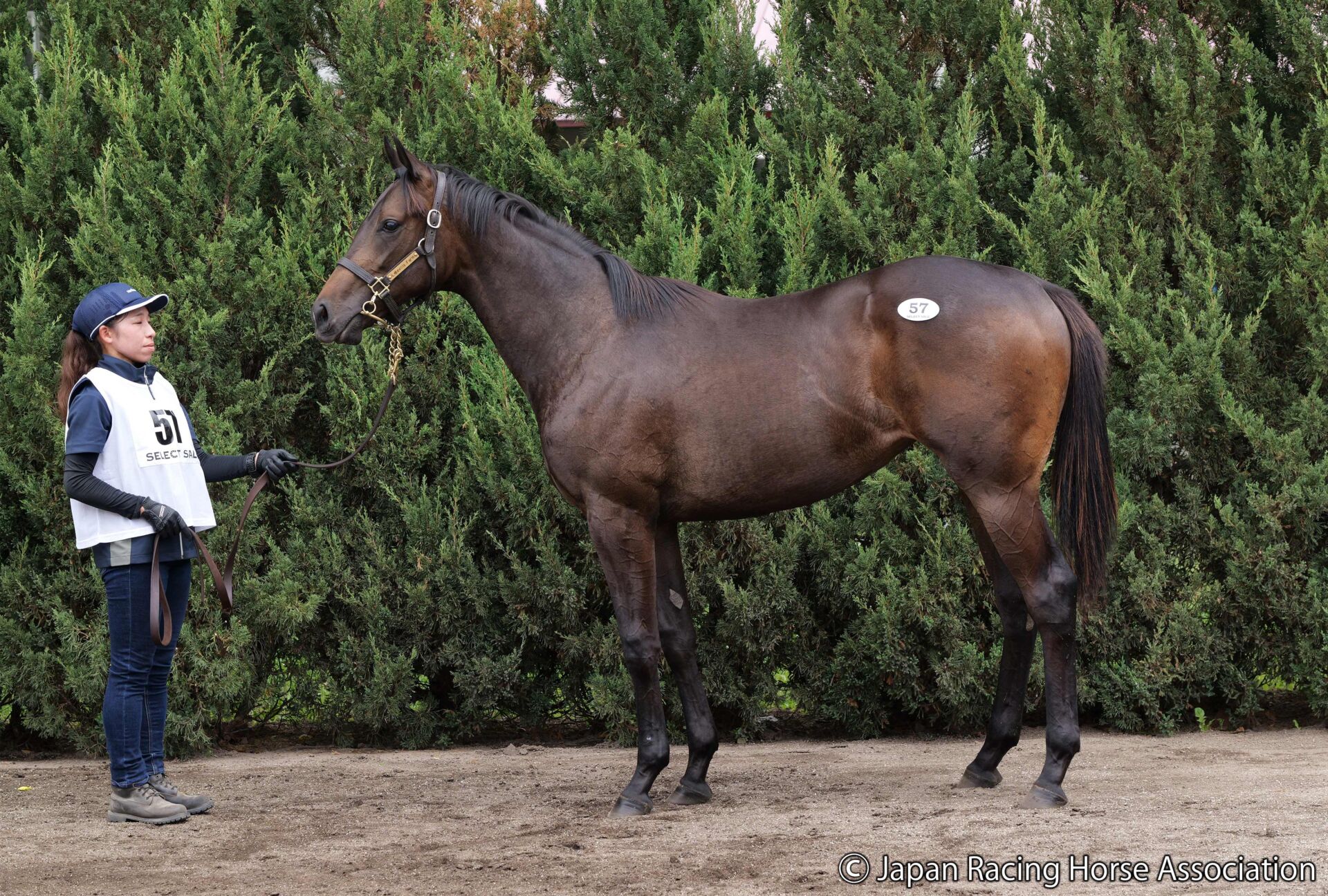 f91ebb00d888afcd5b15015746187e