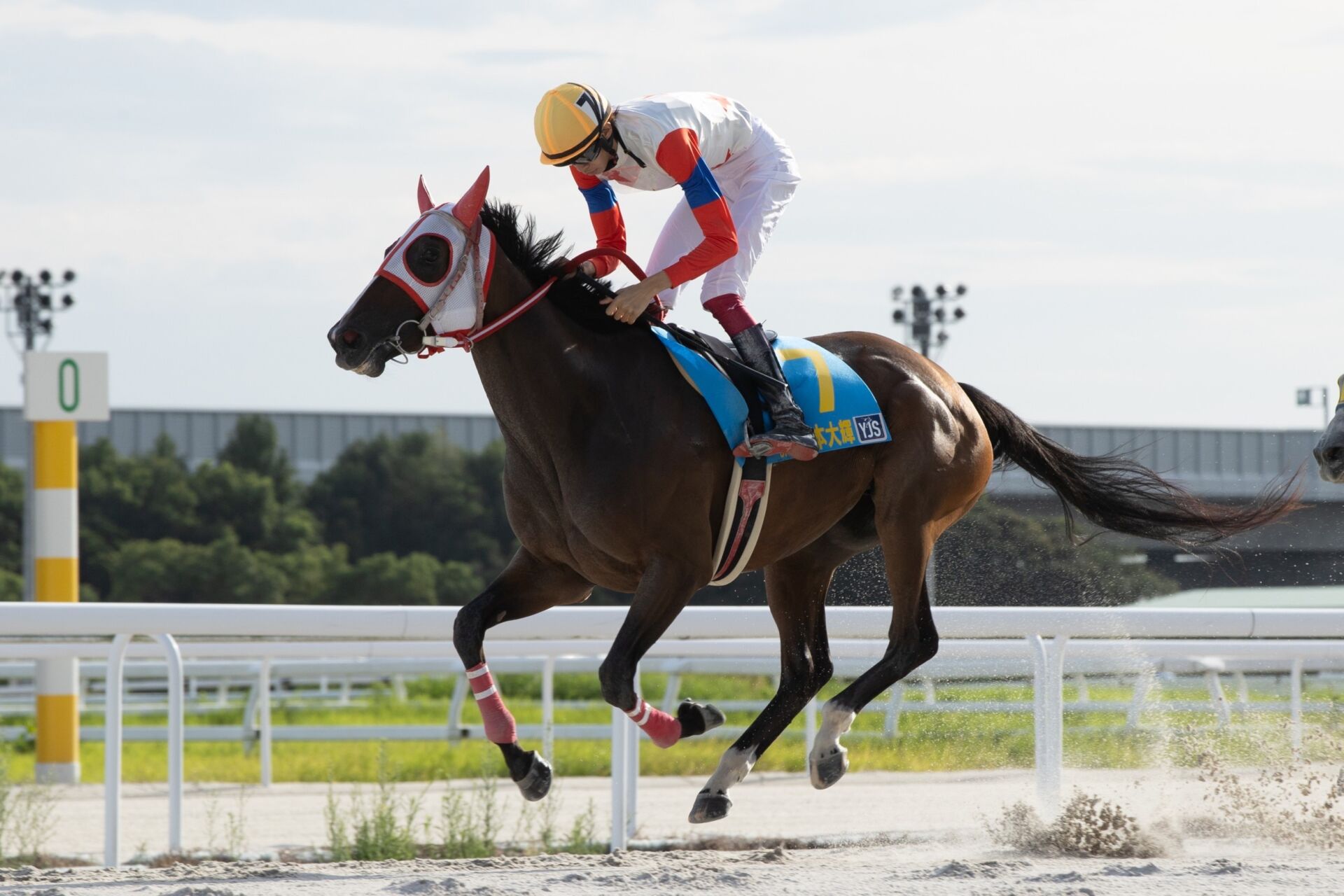 ヤングジョッキーズTR名古屋】JRA松本大輝騎手が暫定首位…第1戦を制