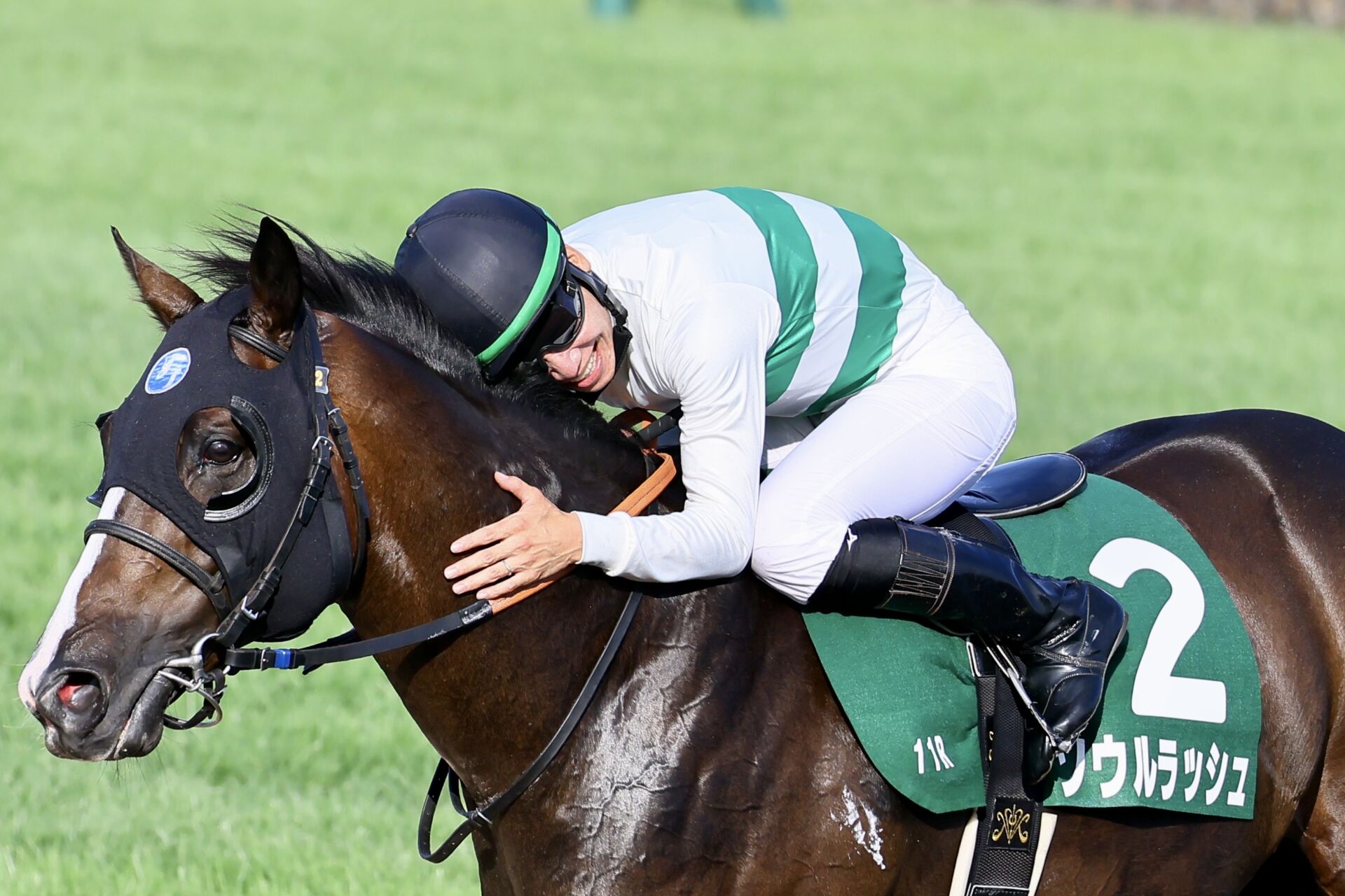 こ*ん様 JRA 競馬 2023年京成杯優勝時レプリカゼッケン ソウルラッシュ S__53452860_0.jpg