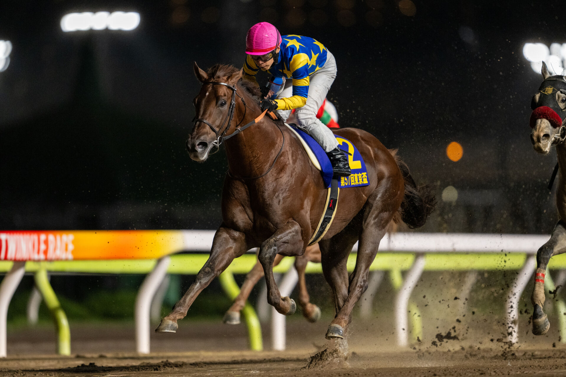 競馬ステッカードンフランキー東京盃 競馬ステッカードンフランキー東京盃