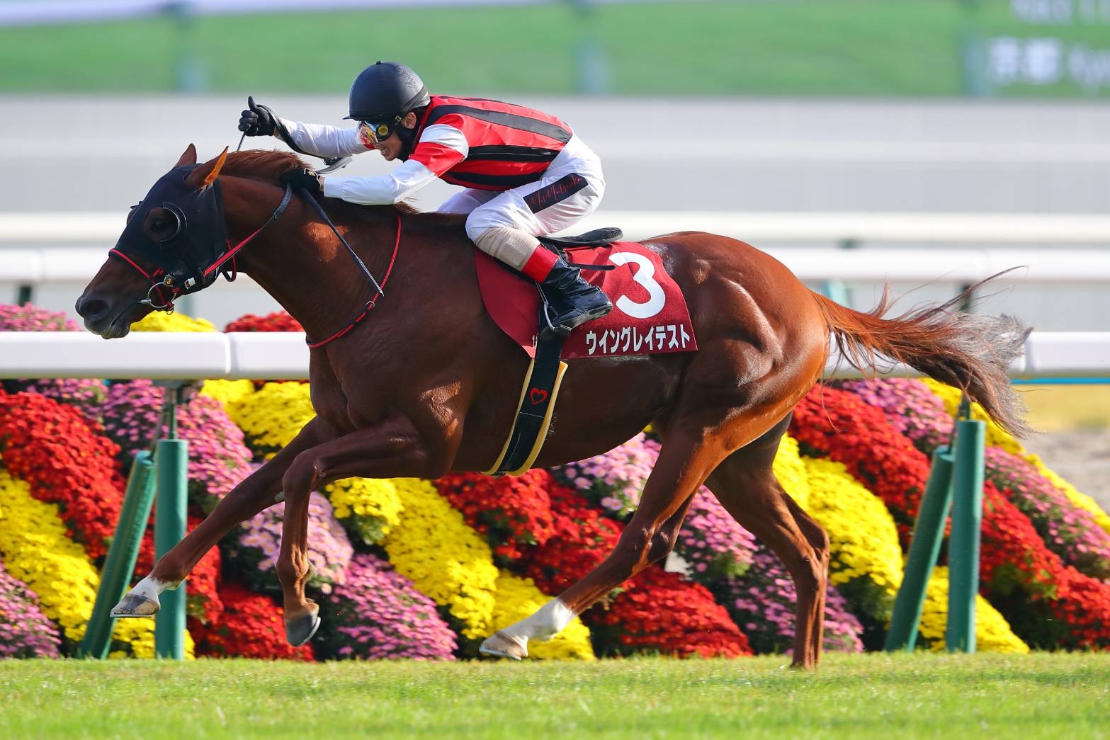 b68703c1bba55867cb00e34d82b0a7