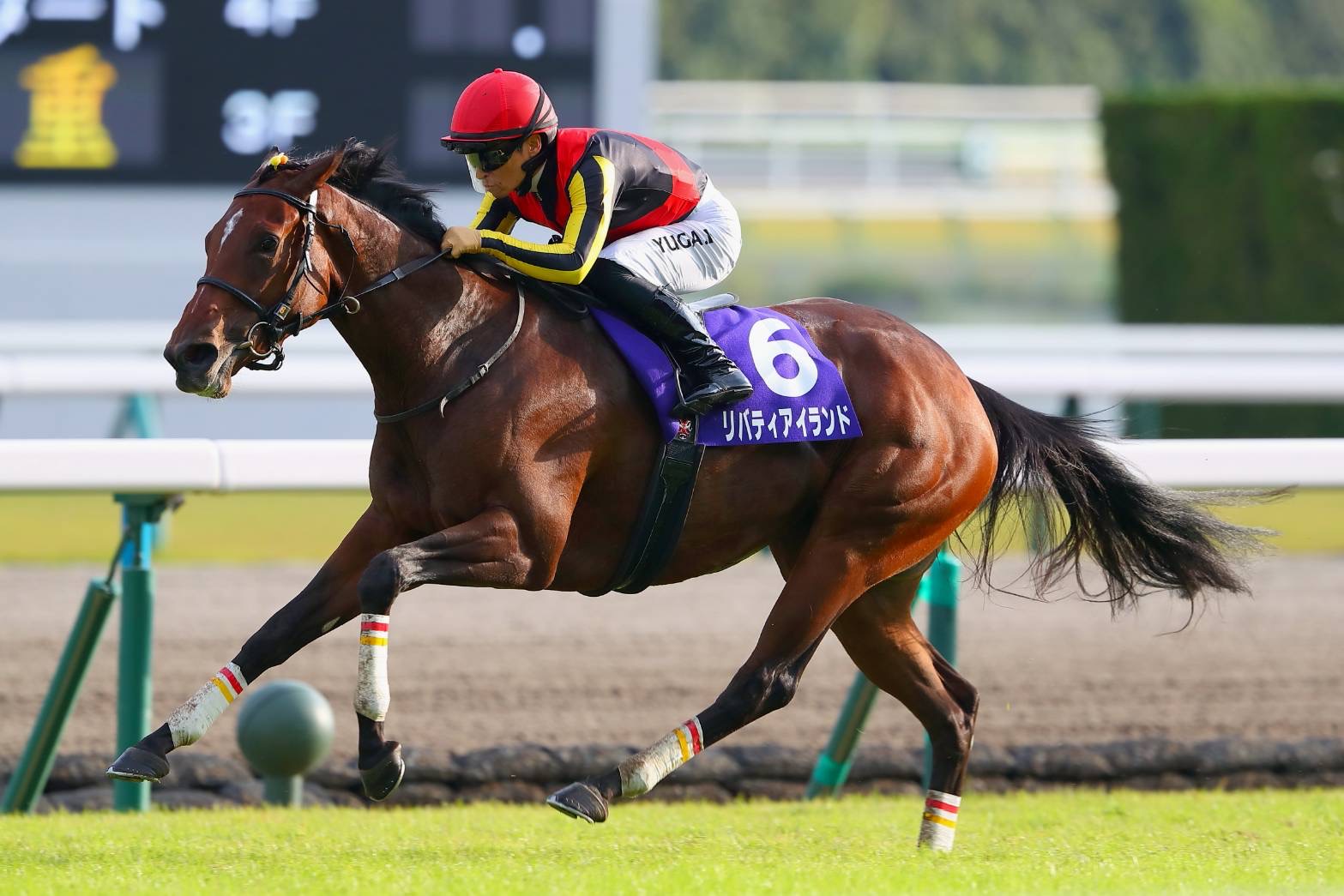 リバティアイランド の写真ギャラリー| 競馬ニュースなら競馬のおはなし