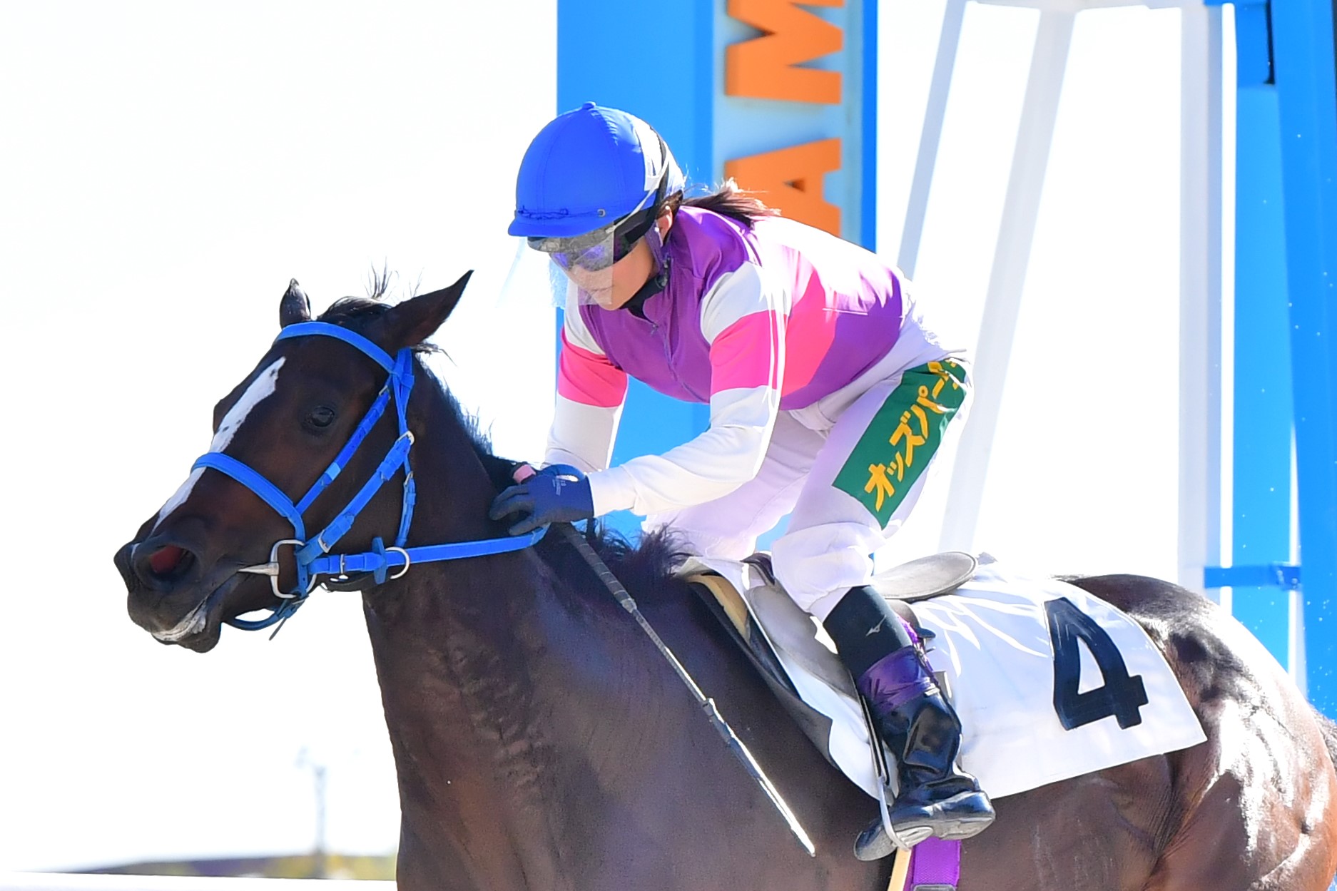 オマタセシマシタが船橋へ移籍…ジャンポケ斉藤愛馬 | 競馬ニュースなら