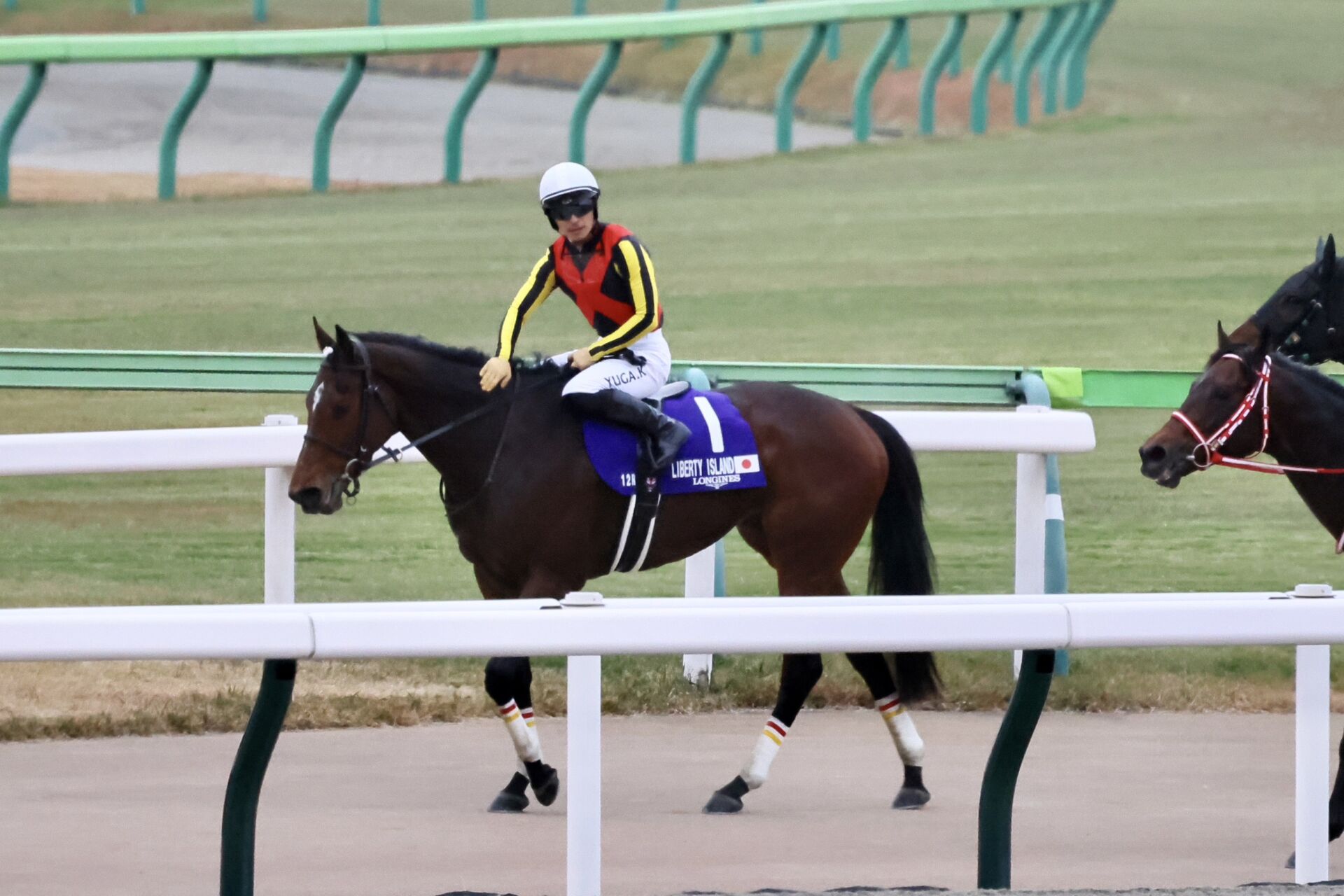 ジャパンカップ】リバティアイランドは2着に敗れる | 競馬ニュースなら
