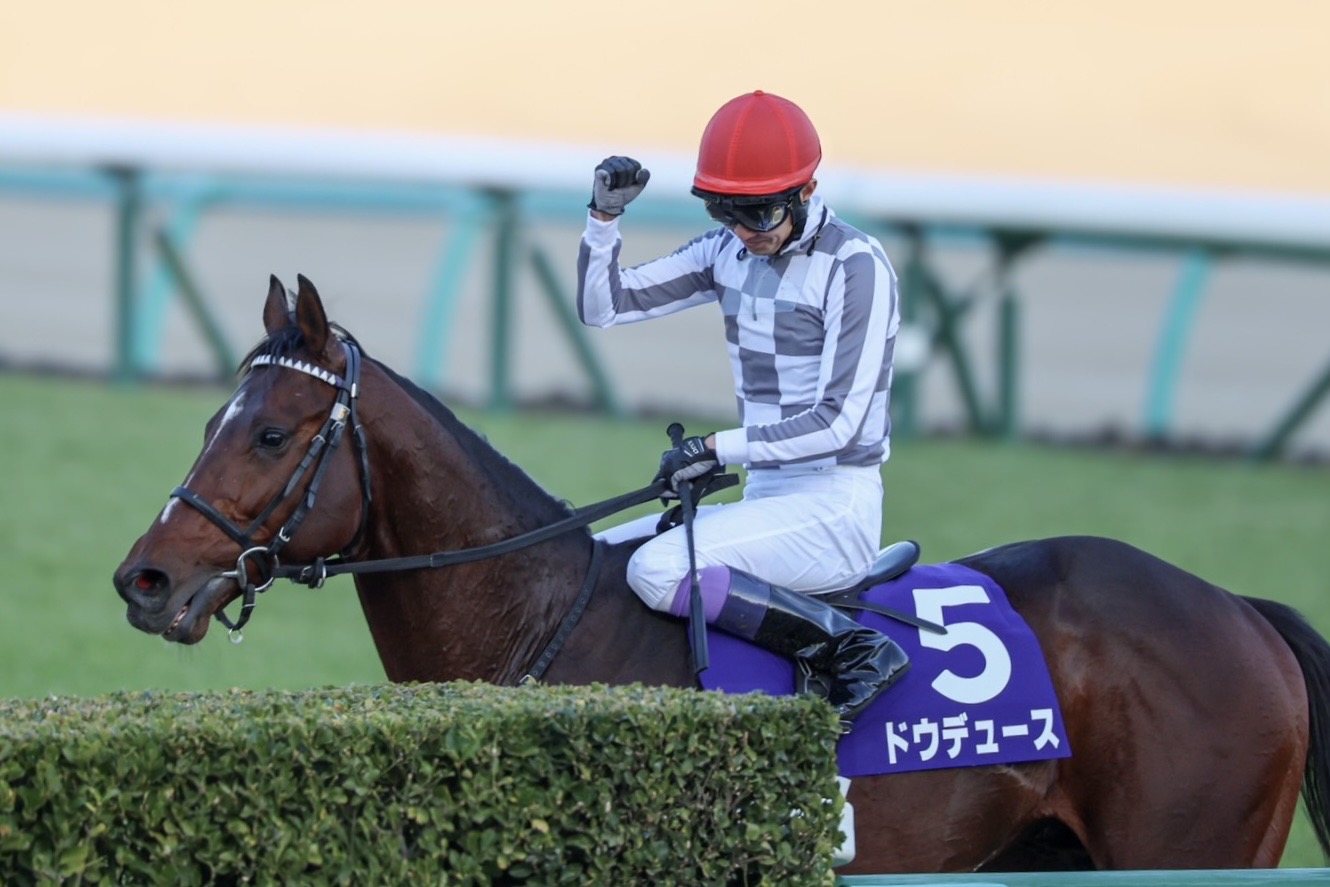 32e87c37072cf9143fad3c97149034