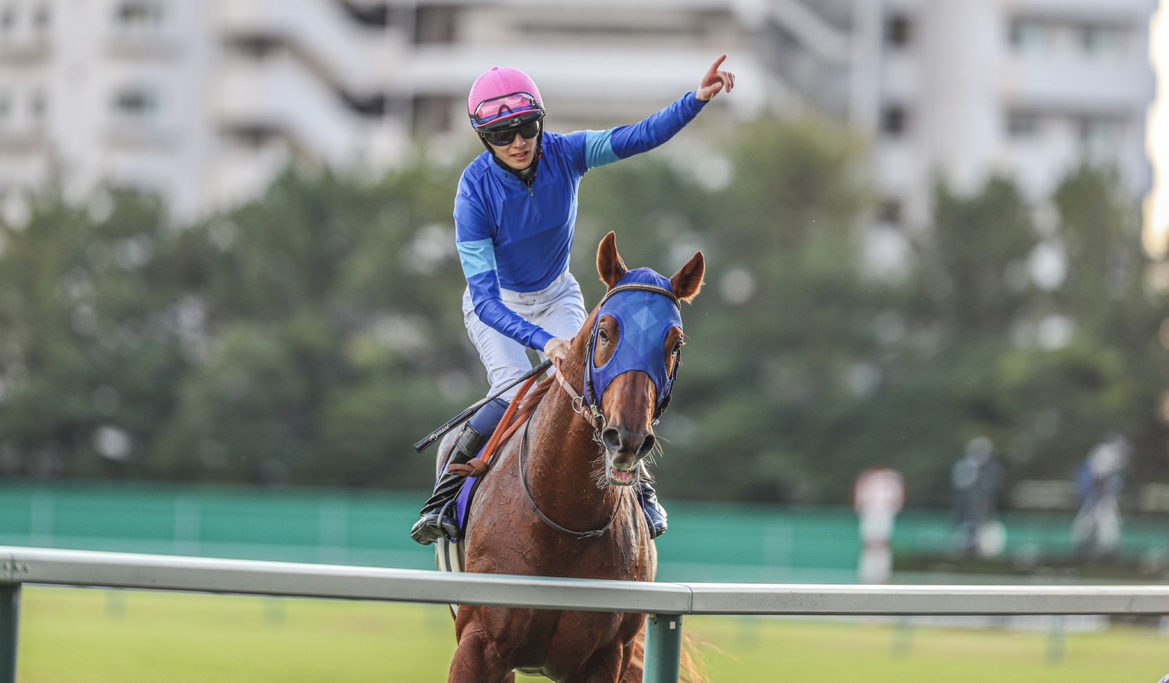 さきたま杯】レモンポップは6枠7番へ | 競馬ニュースなら競馬のおはなし