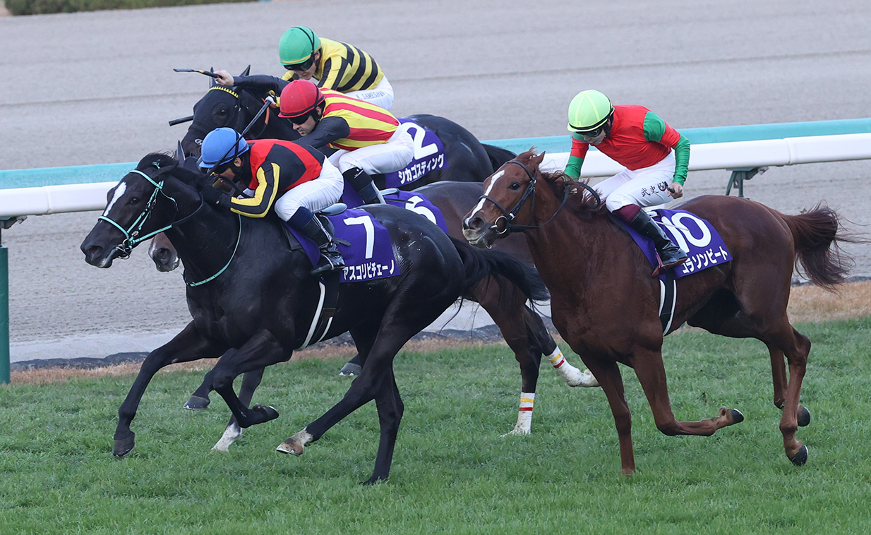 阪神JF】無敗の2歳女王誕生！アスコリピチェーノが無傷の3連勝 | 競馬ニュースなら競馬のおはなし