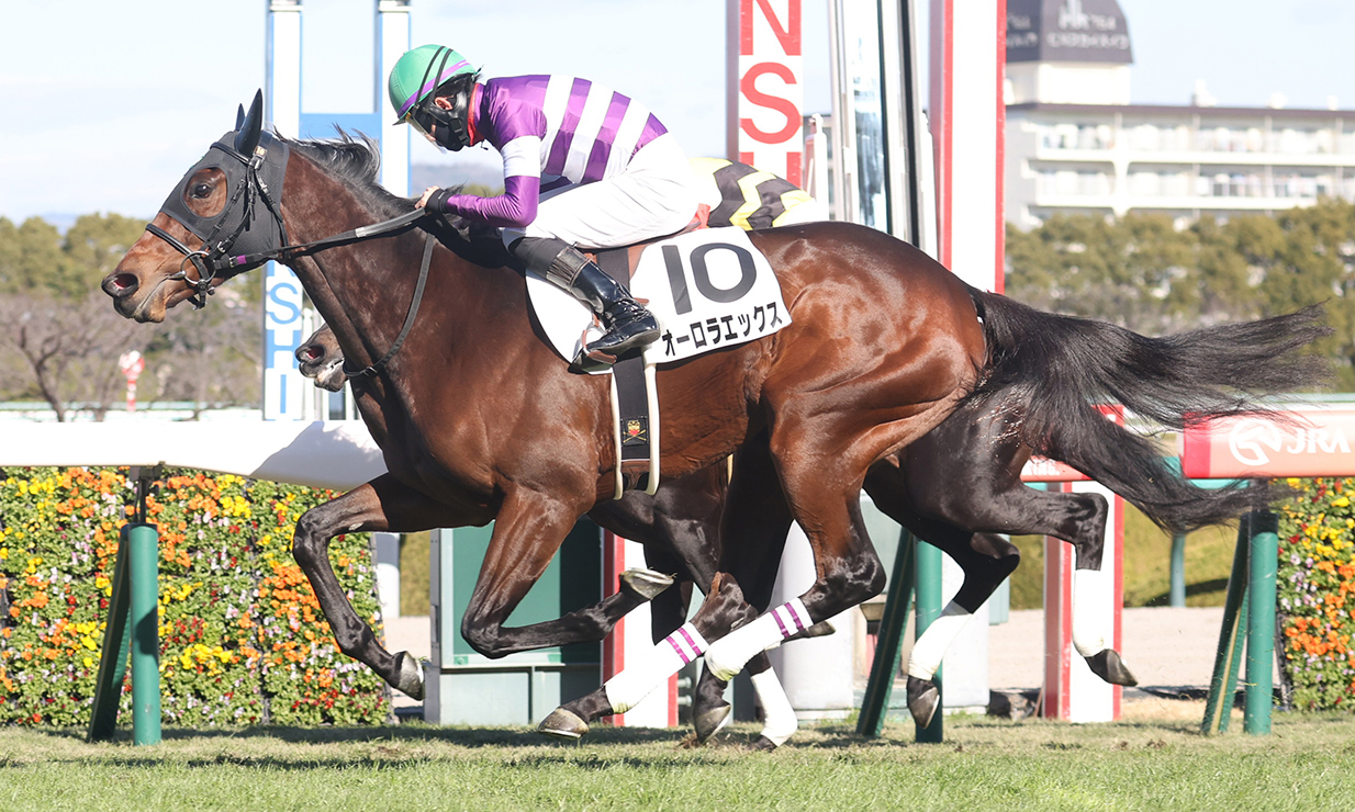 新馬/阪神5R】サトノダイヤモンド産駒 オーロラエックスが人気に応える