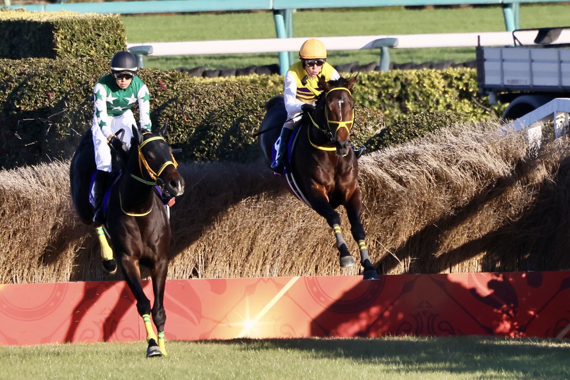 ニシノデイジーが引退…中山大障害を2勝 | 競馬ニュースなら競馬のおはなし