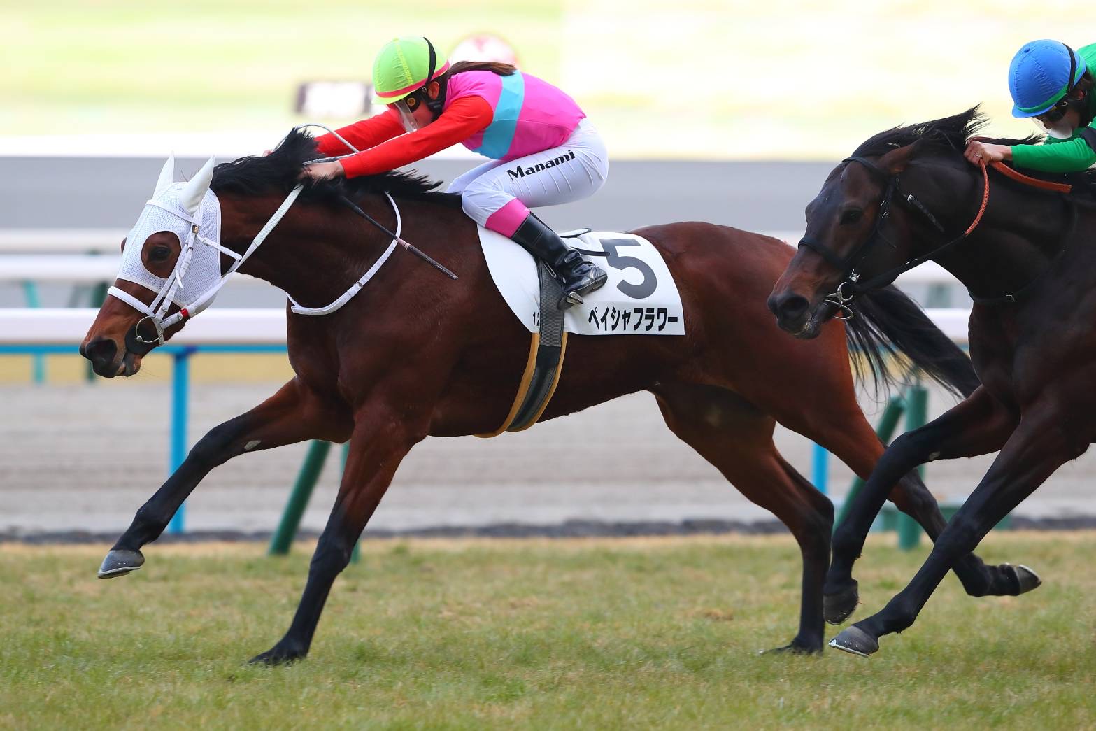 まねき馬 NO.2560 永島まなみ spカード 未開封