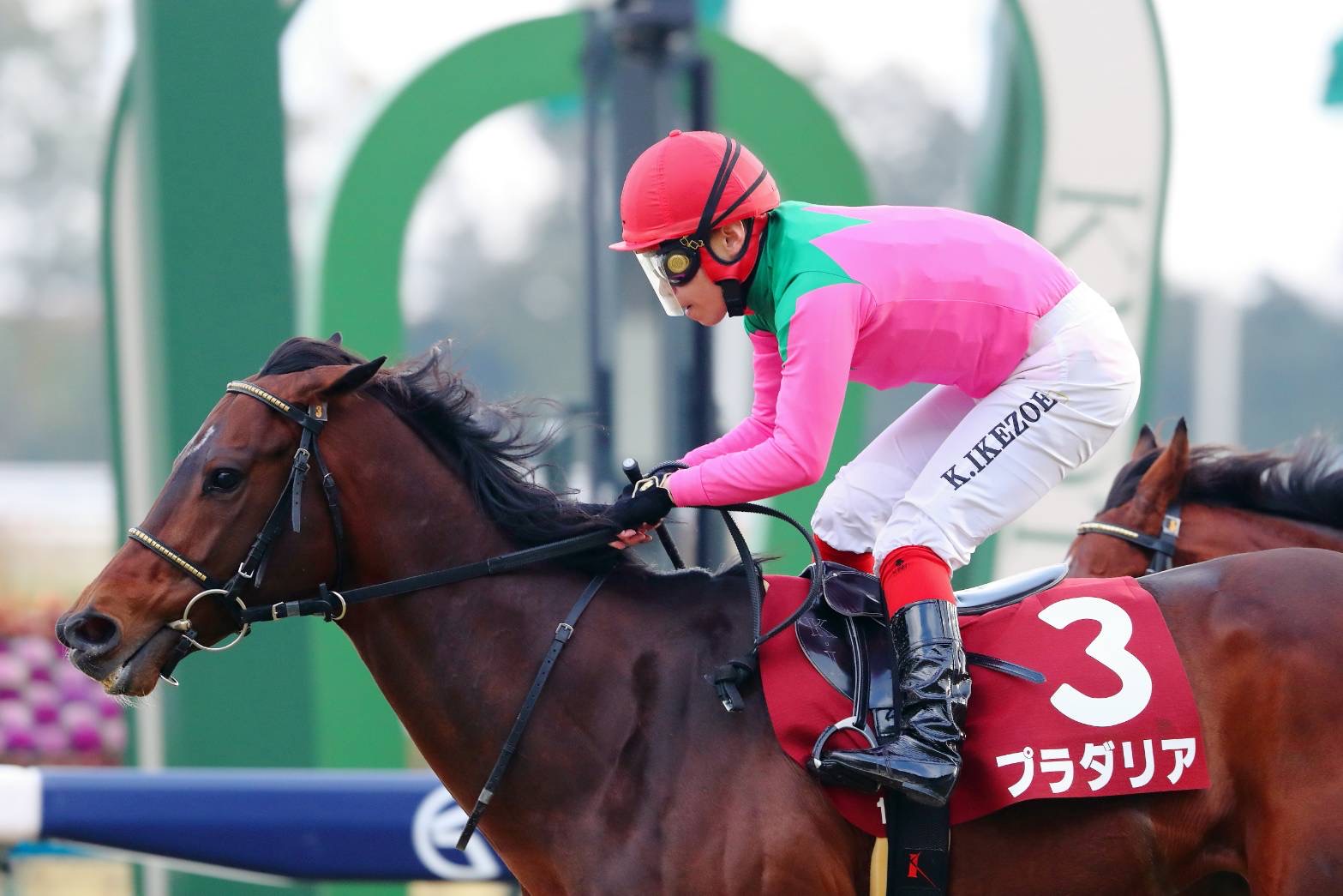 3c94995fd1e4277f16312ab90a318a