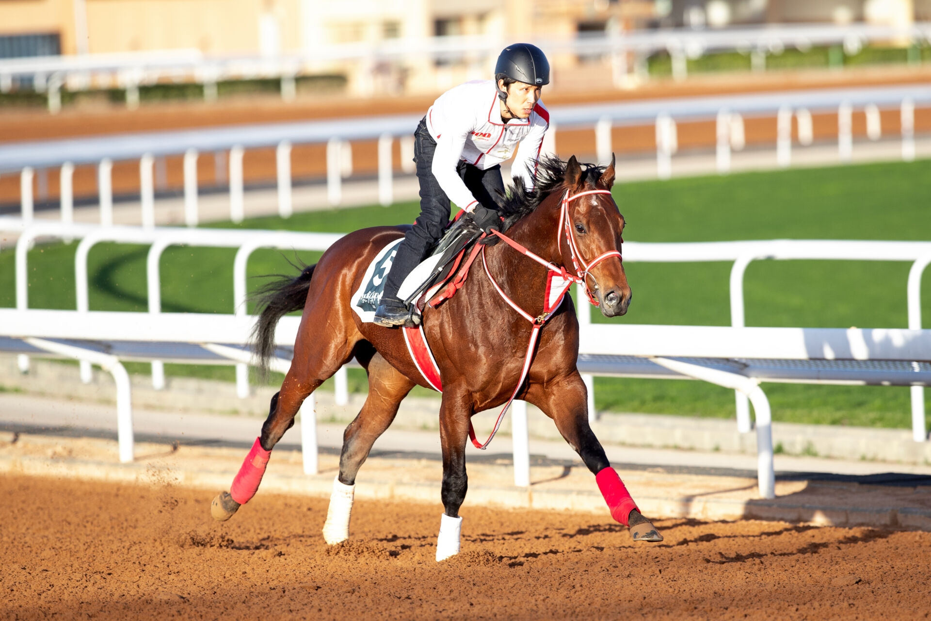 サウジカップデー】日本出走馬一覧…フォーエバーヤングなど有力馬が