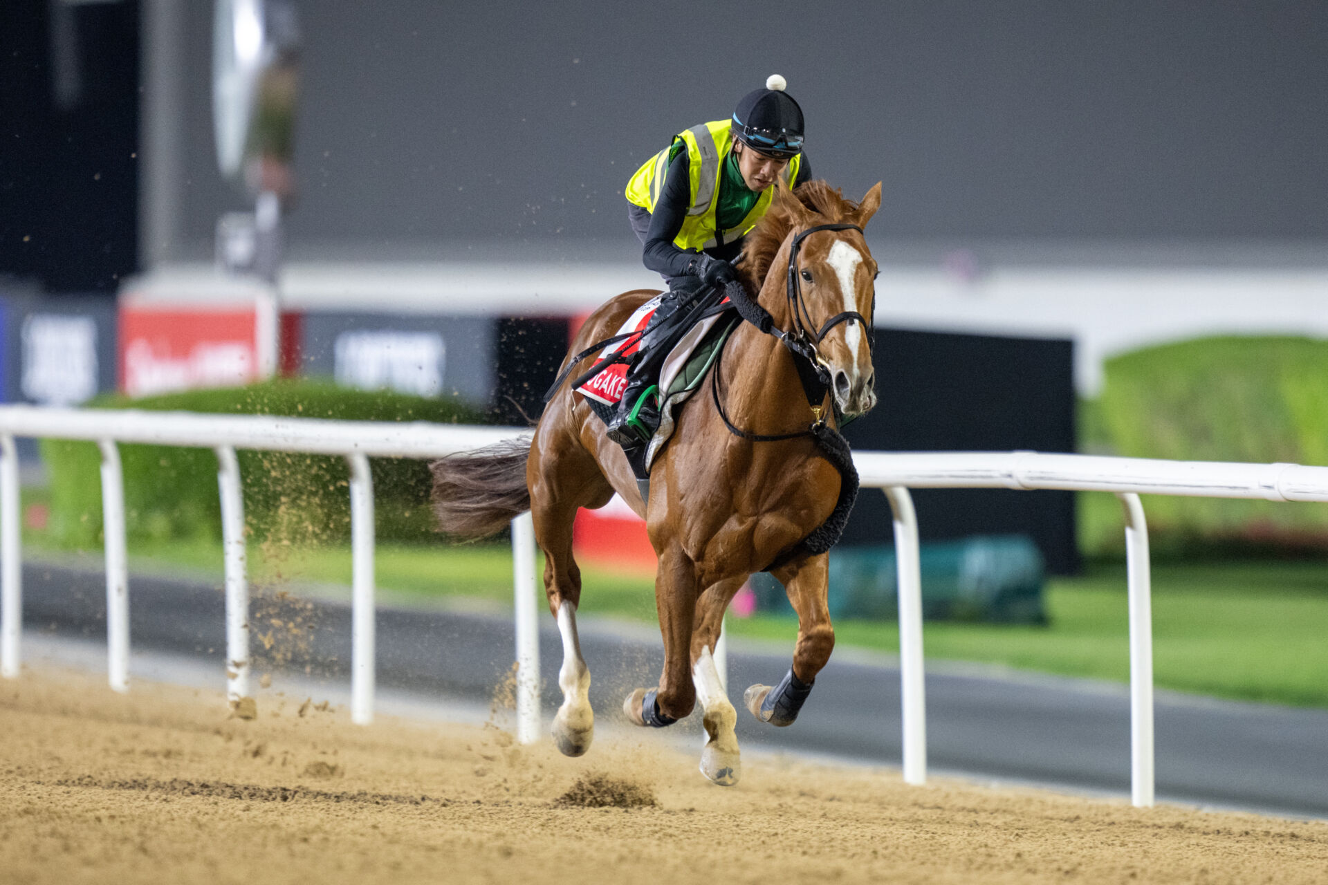 【日本テレビ盃】デルマソトガケなどJRA4頭 競馬ニュースなら競馬のおはなし