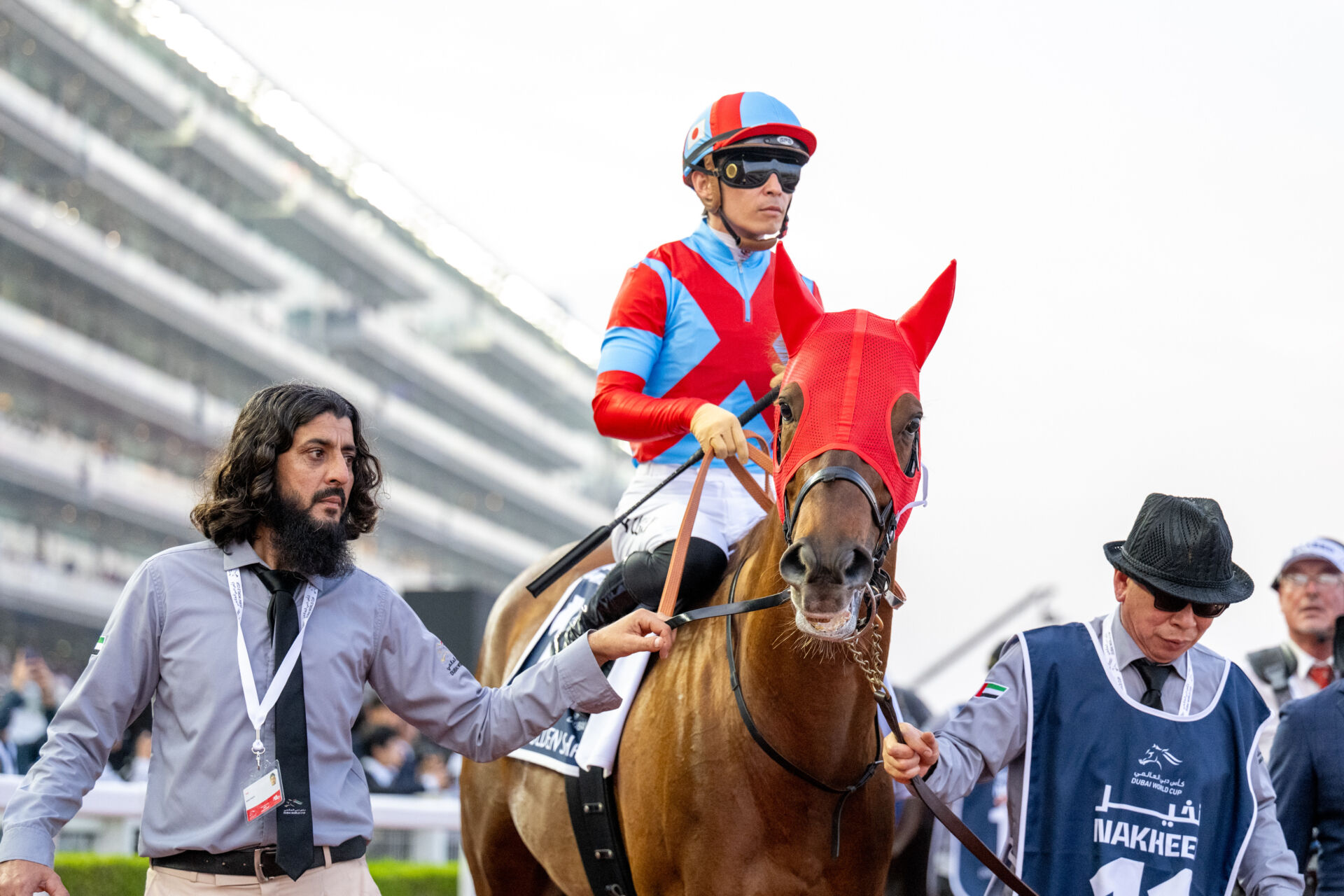 韓国国際競走にJRA所属馬が出走 | 競馬ニュースなら競馬のおはなし