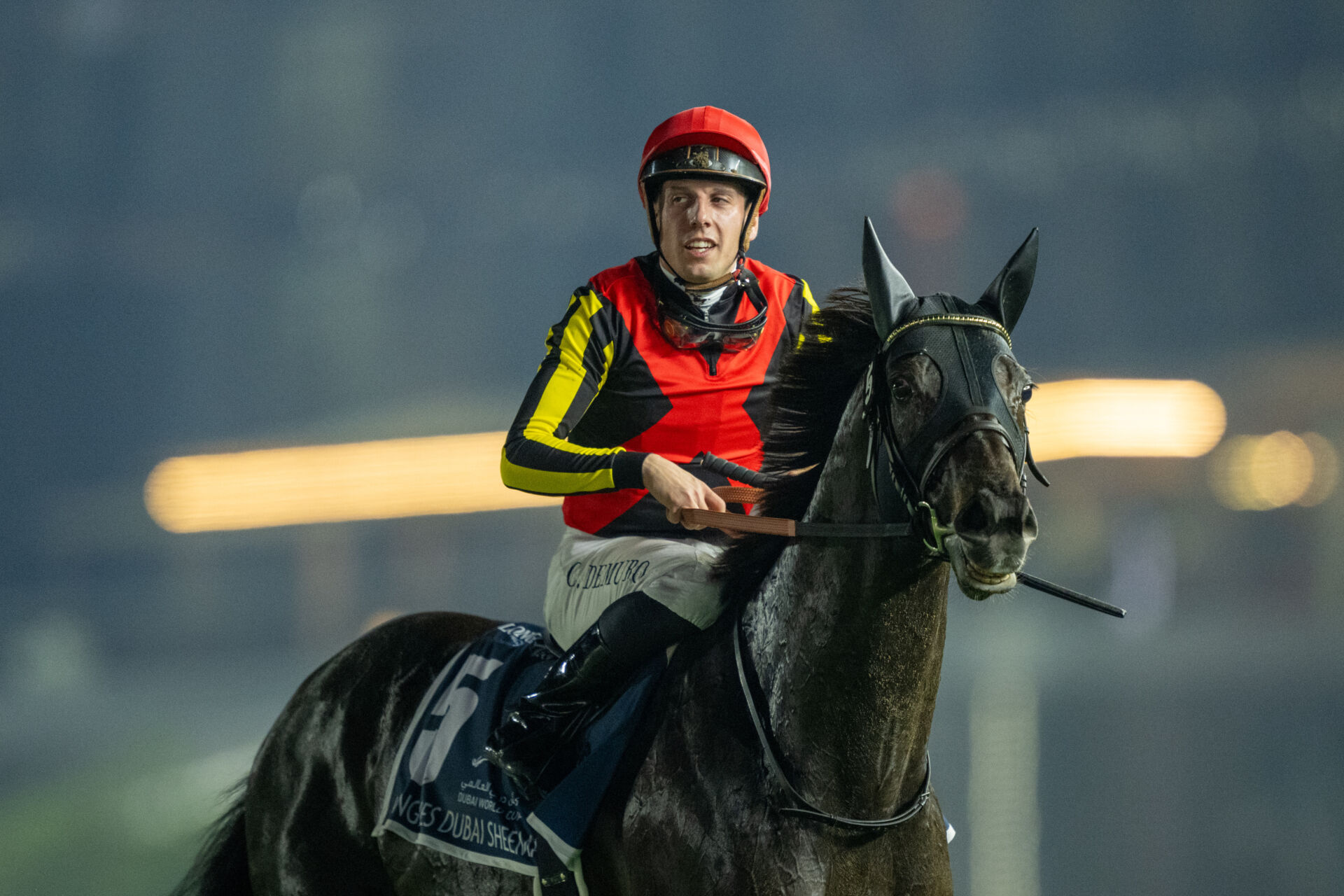 シャフリヤールが引退…種牡馬入り | 競馬ニュースなら競馬のおはなし