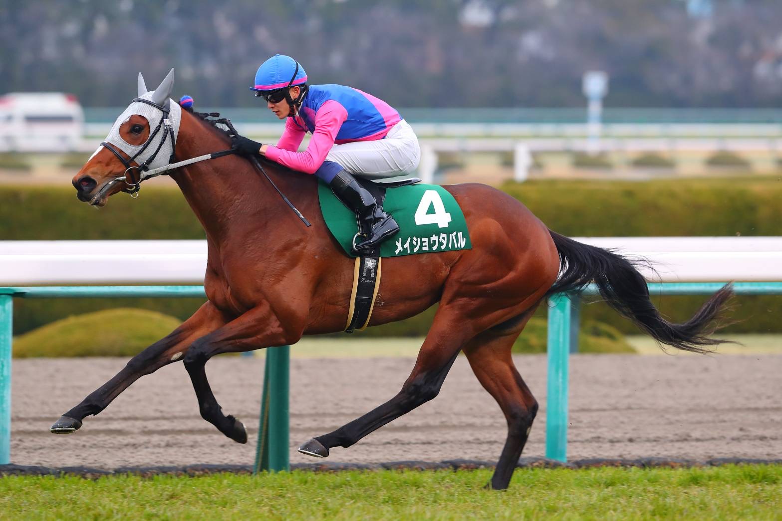 毎日杯】メイショウタバルが6馬身差圧勝…鮮やかな逃げ切り | 競馬