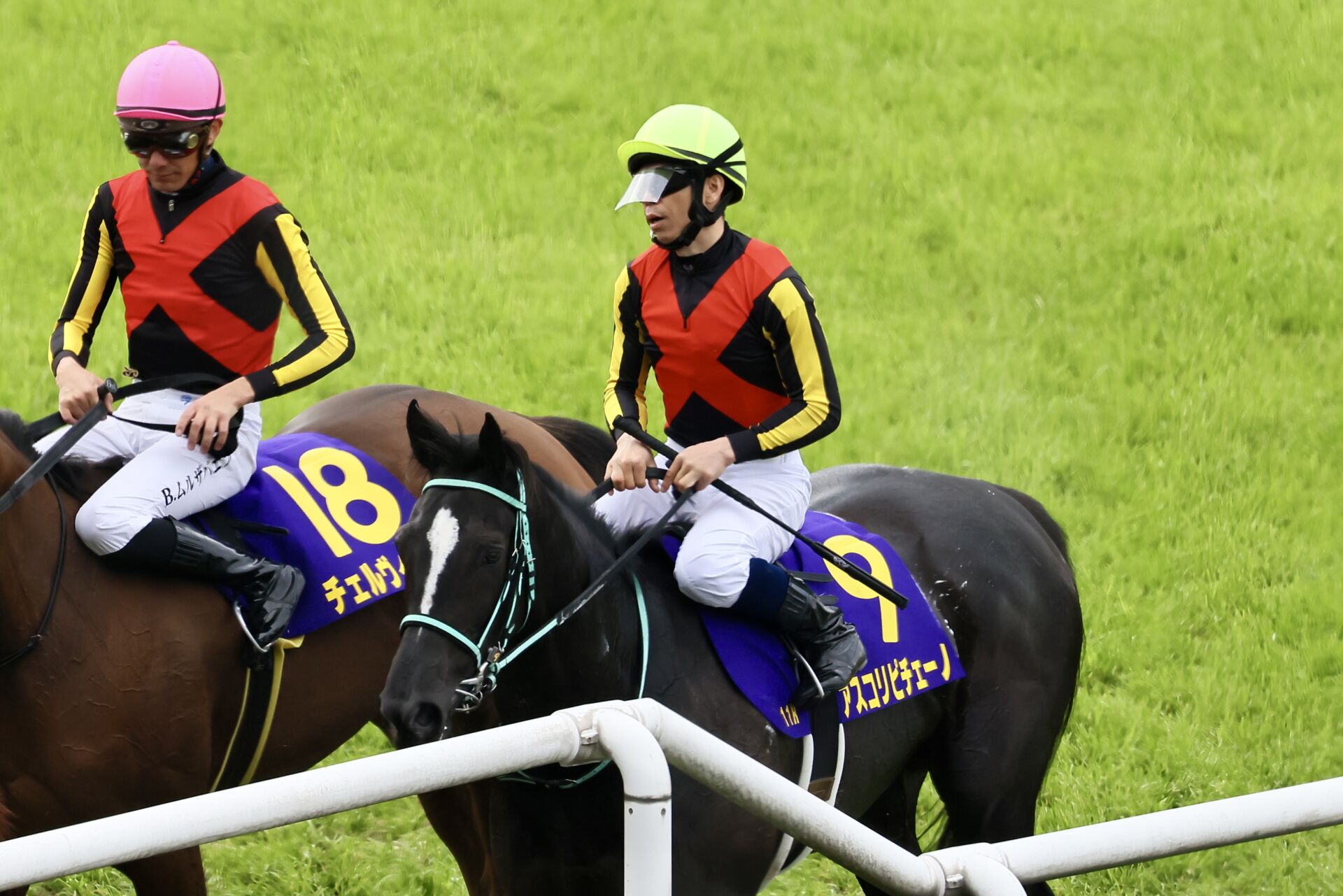 競馬 アンブローニュ3歳未勝利戦優勝時実使用ゼッケン 北村宏司騎手両面サイン入り 桜花賞】北村宏「少し手応えが苦しくなって…」レース後ジョッキー