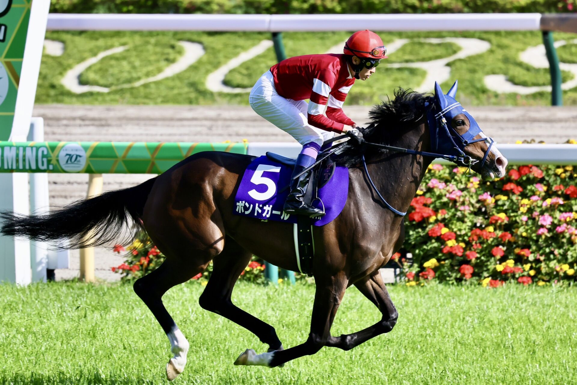 【NHKマイルC】武豊「アンラッキーだった」レース後ジョッキーコメント | 競馬ニュースなら競馬のおはなし