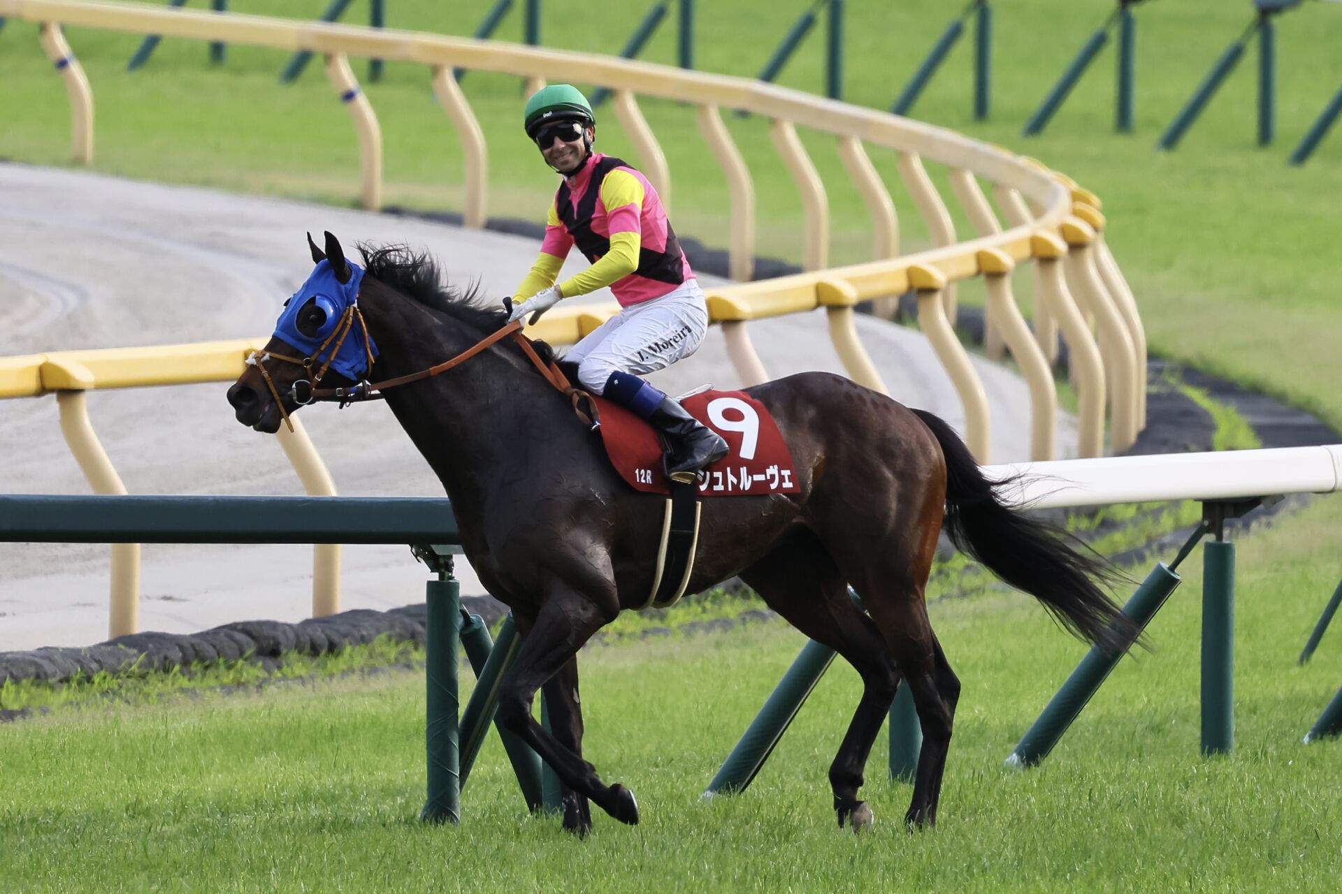 【目黒記念】モレイラ「とても良い馬」シュトルーヴェ重賞連勝 競馬ニュースなら競馬のおはなし