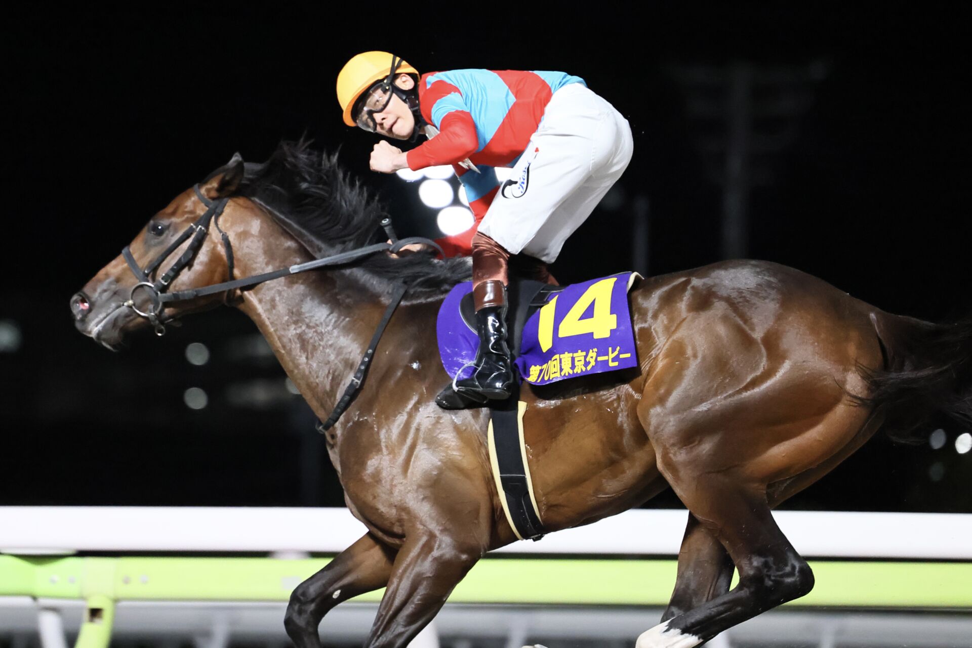 東京ダービー】三浦「もっともっと上に行く馬」ラムジェットが圧勝