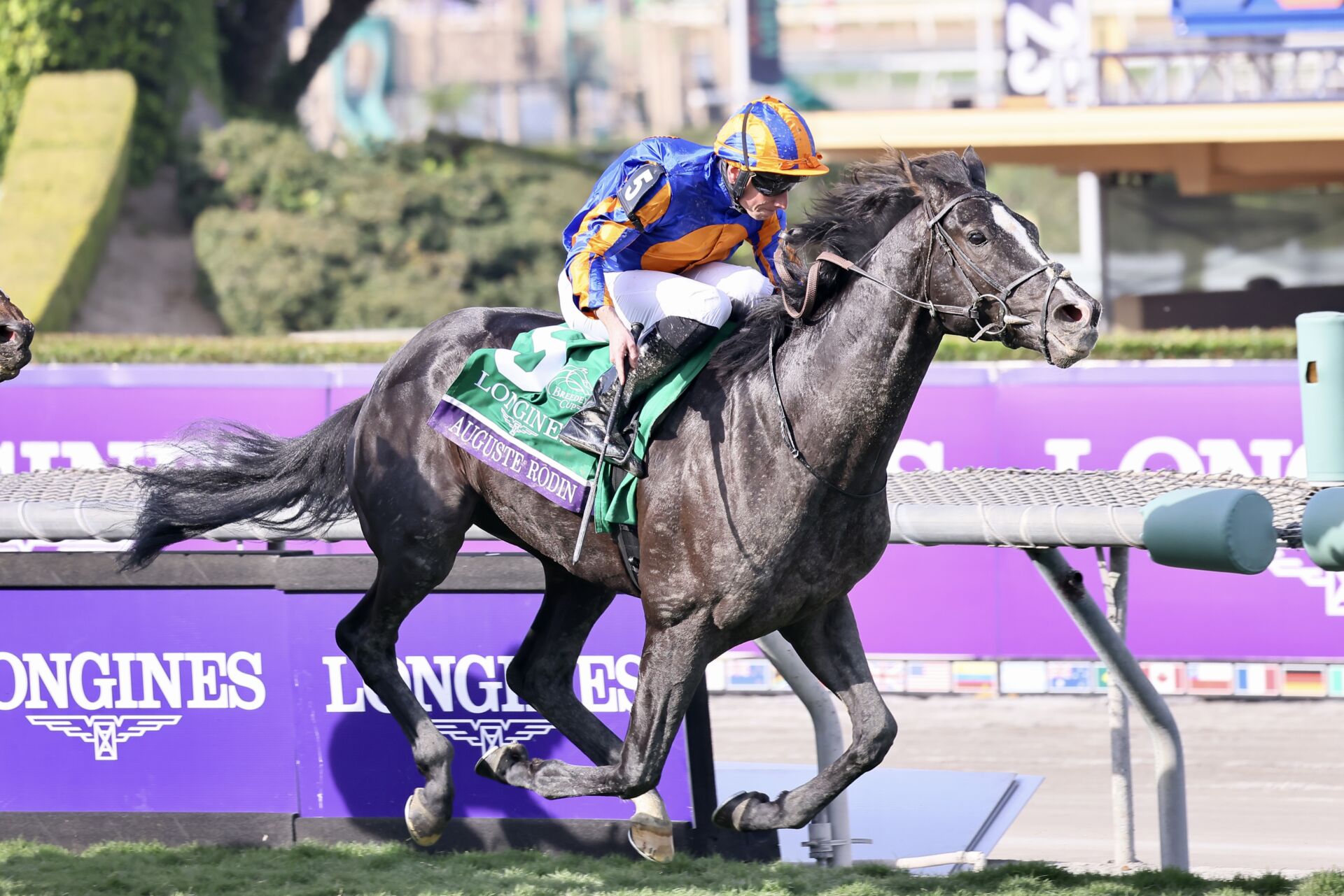 競馬　オーギュストロダン　限定オリジナルパネル 競馬 オーギュストロダン 限定オリジナルパネル 競馬 オーギュスト