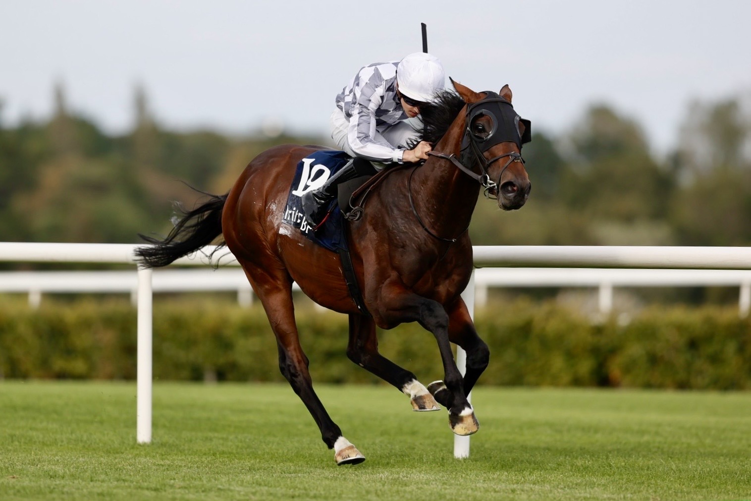 1cb5c5532220028f72ea5aaef44da4