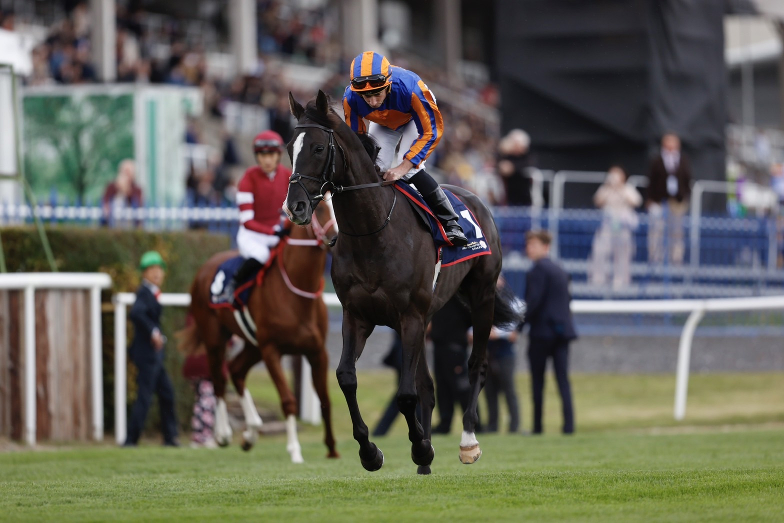 競馬 オーギュストロダン 限定オリジナルパネル 競馬 オーギュスト