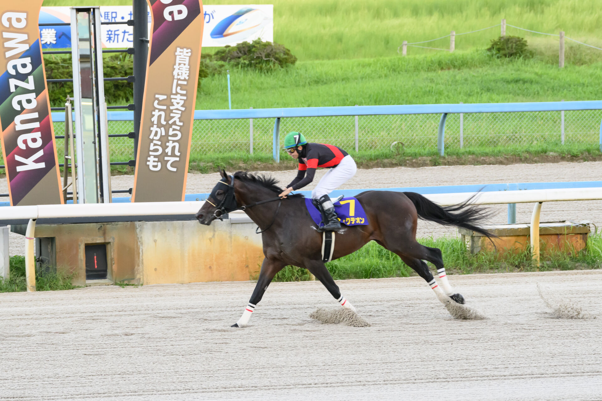 レコード記録 競馬 販売済み