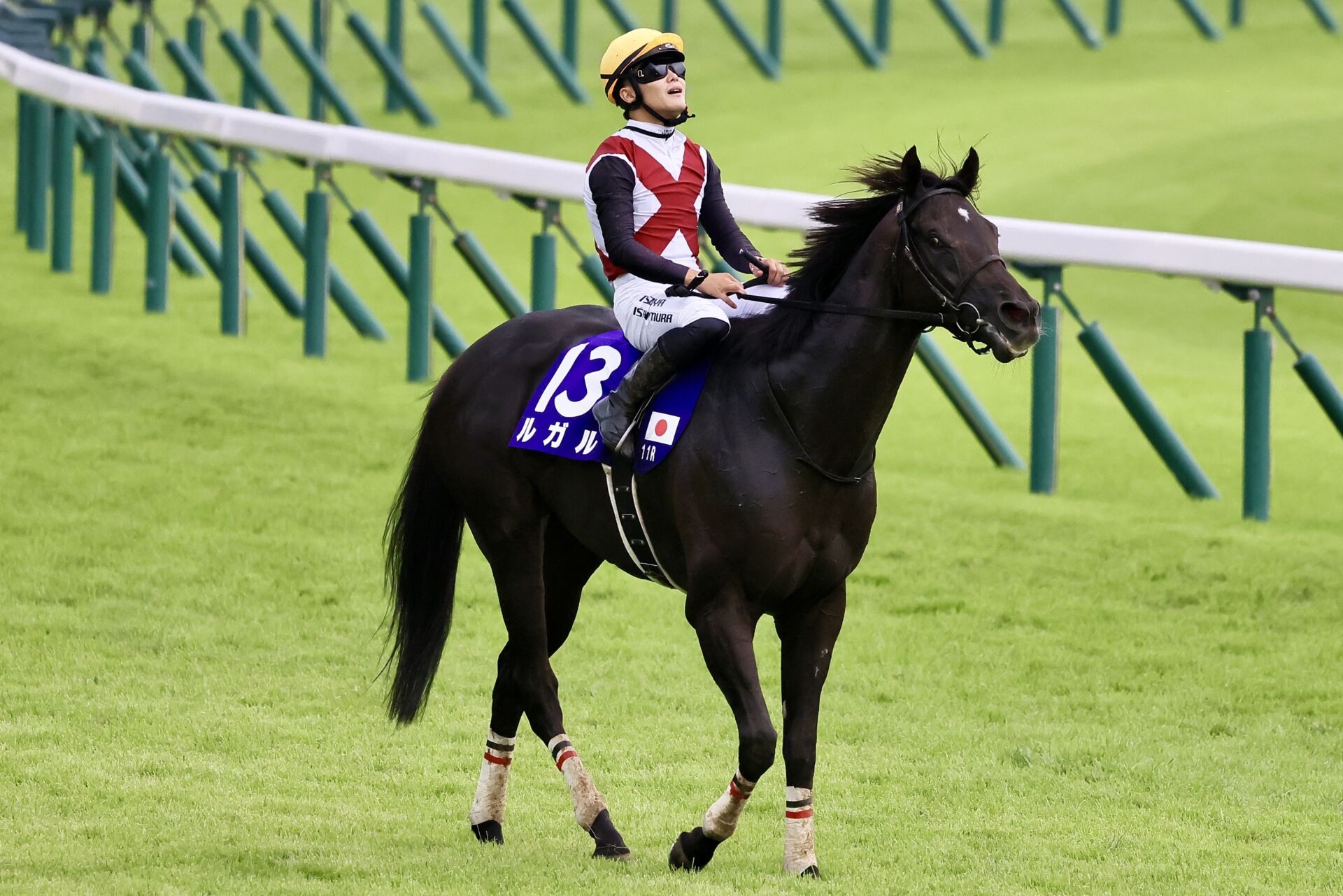 WIN5は3400万円超の払戻し…スプリンターズSはルガルが快勝 | 競馬ニュースなら競馬のおはなし