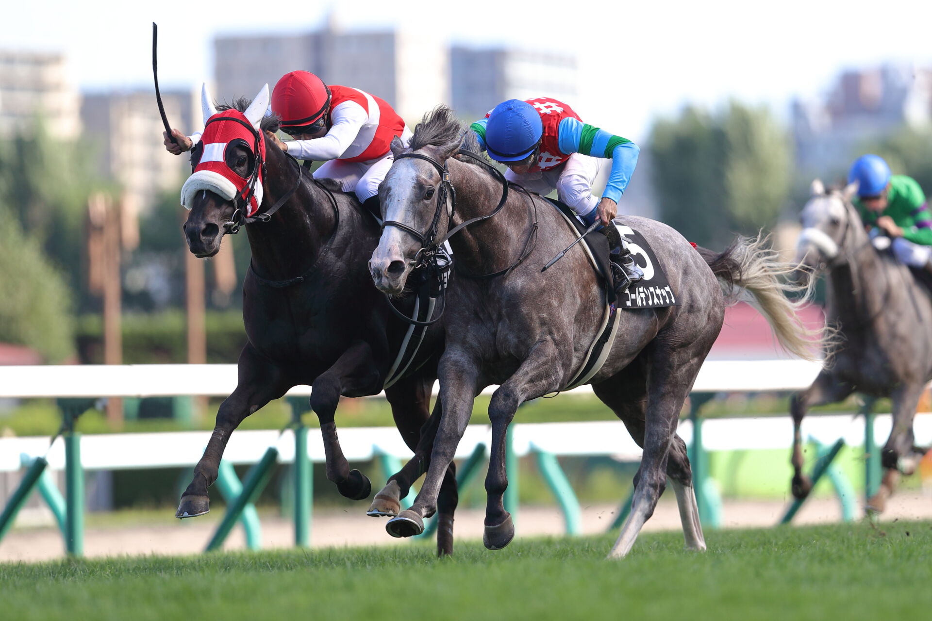 2024コーフィールドカップ、コックスプレート、メルボルンカップ（G1