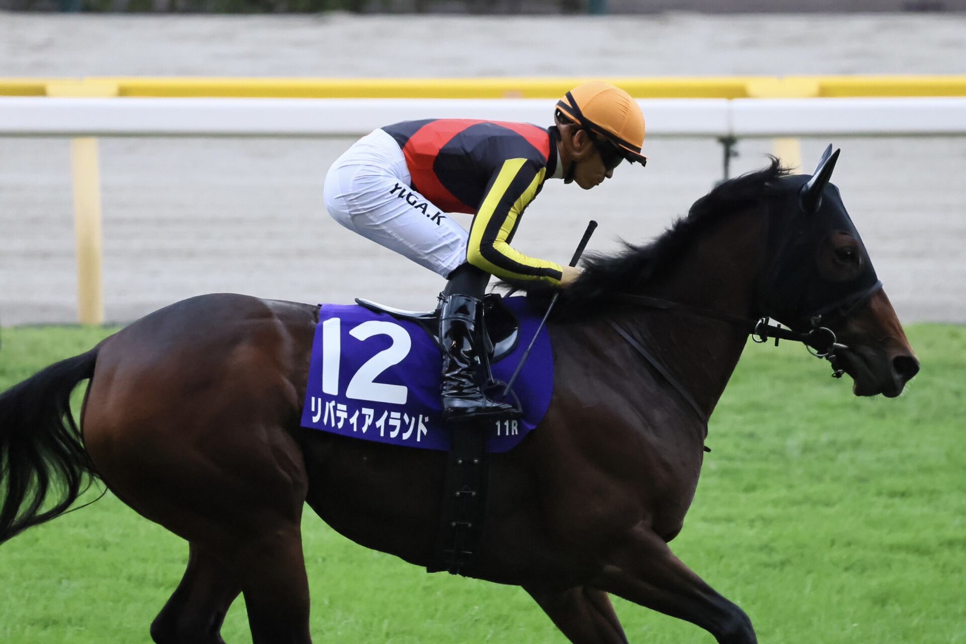 天皇賞・秋】リバティアイランドは13着に敗れる | 競馬ニュースなら