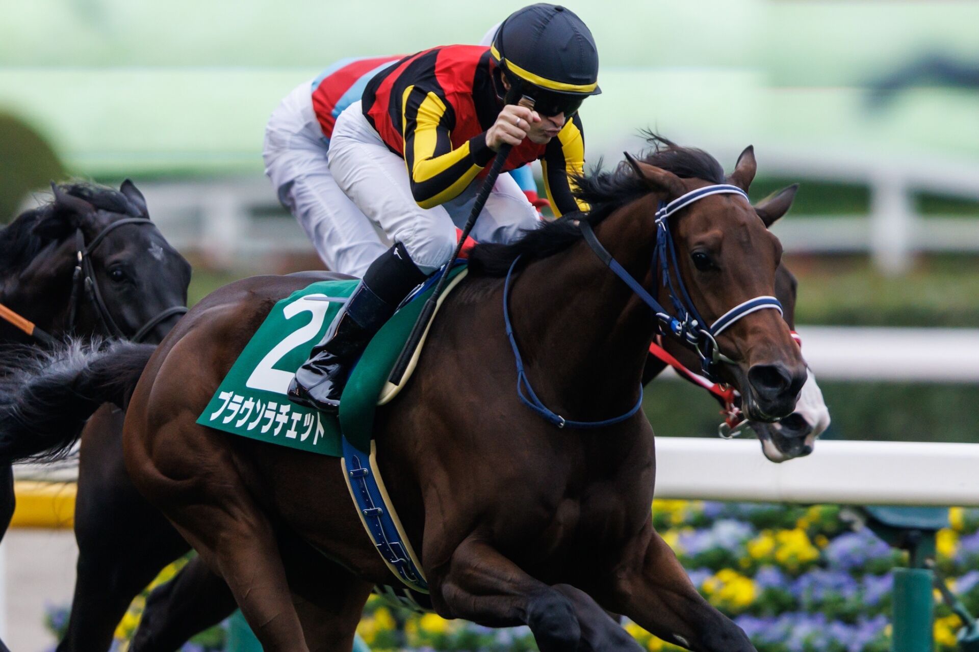 40c1dcd94b46f1ae0421369aa1f76d