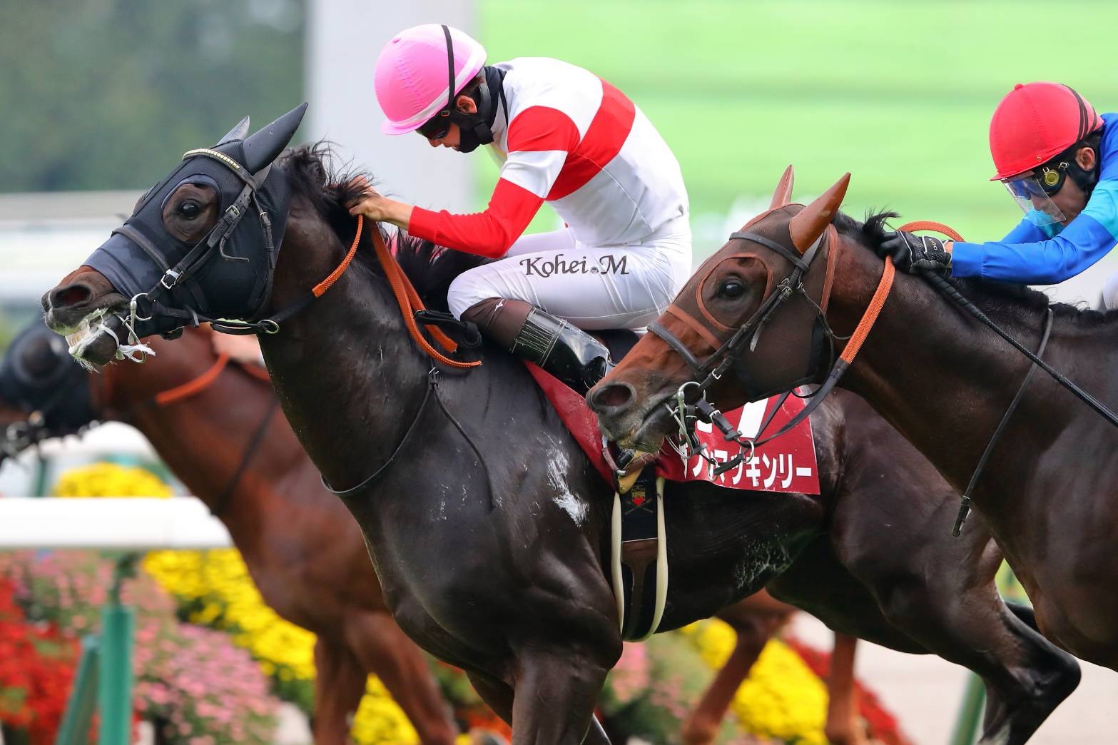 盗まれた馬 スワンS】松山「まだまだやれる馬」ダノンマッキンリーが重賞2勝目