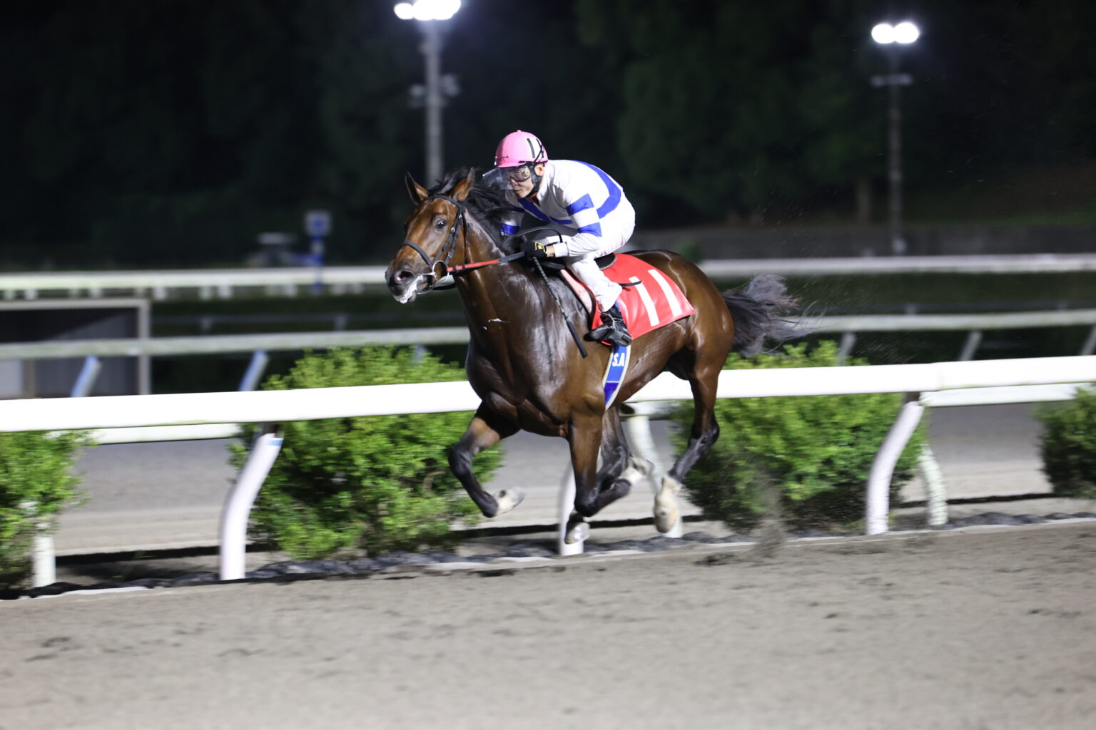 競馬予想　極4 競馬予想 極4 高知競馬2023/11/18(土)スピード指数付40走表示